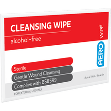 Cleansing Wipes - Pack of 10