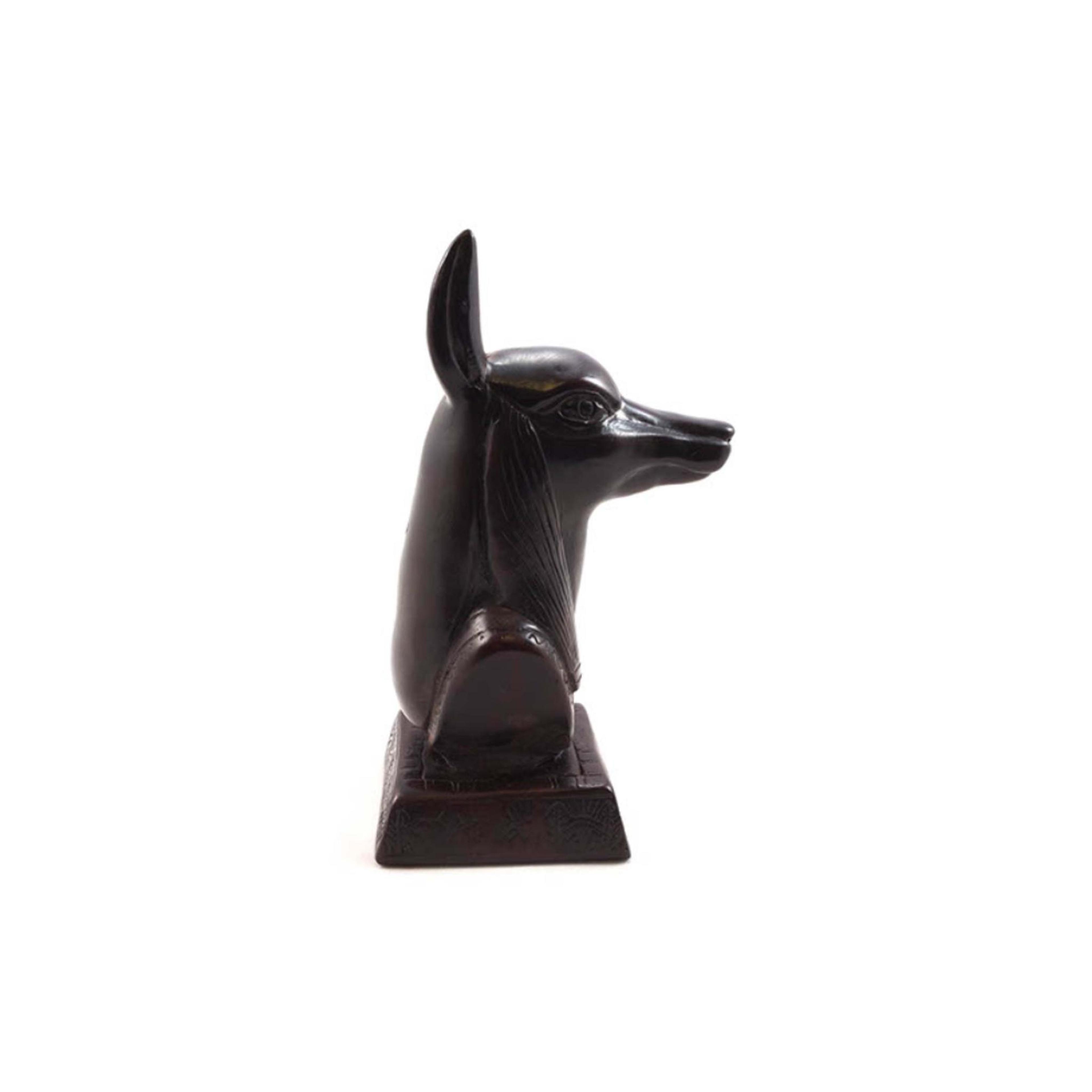 Anubis Head
