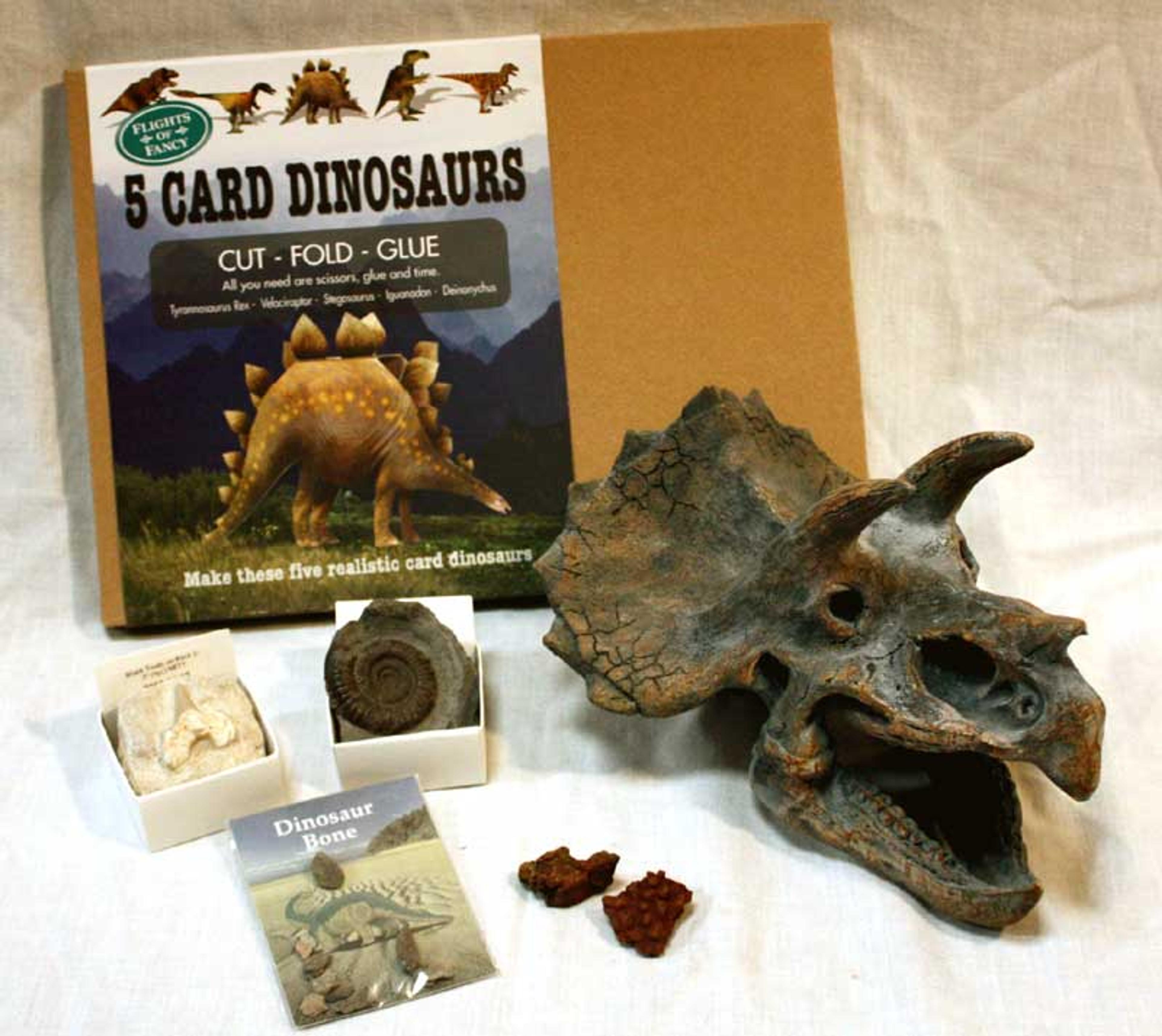 Mary Anning COLLECTION