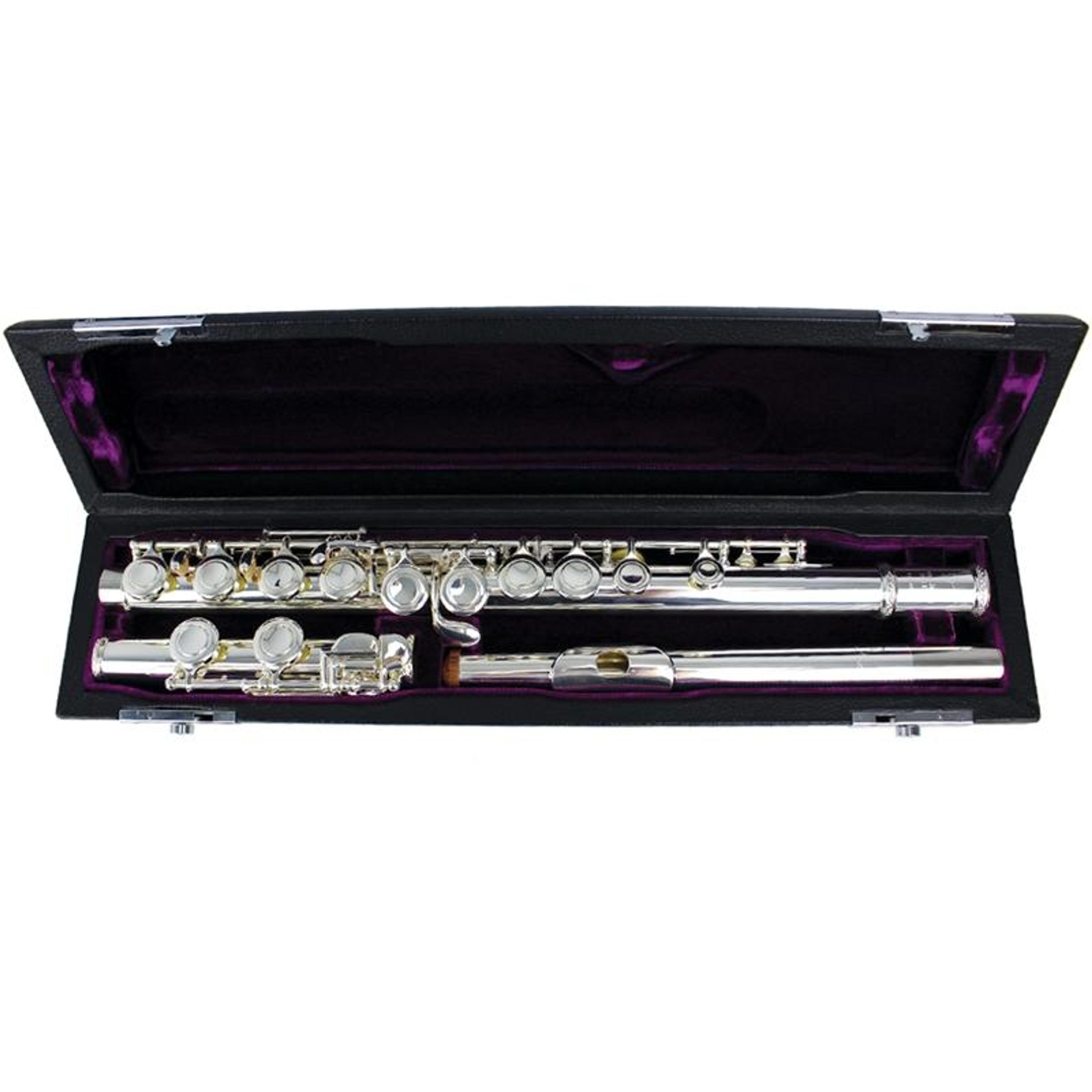 Trevor James TJ10X MKIV Flute