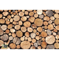 Playmats Images in Nature - Logs