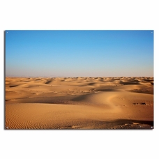 Desert Backdrop