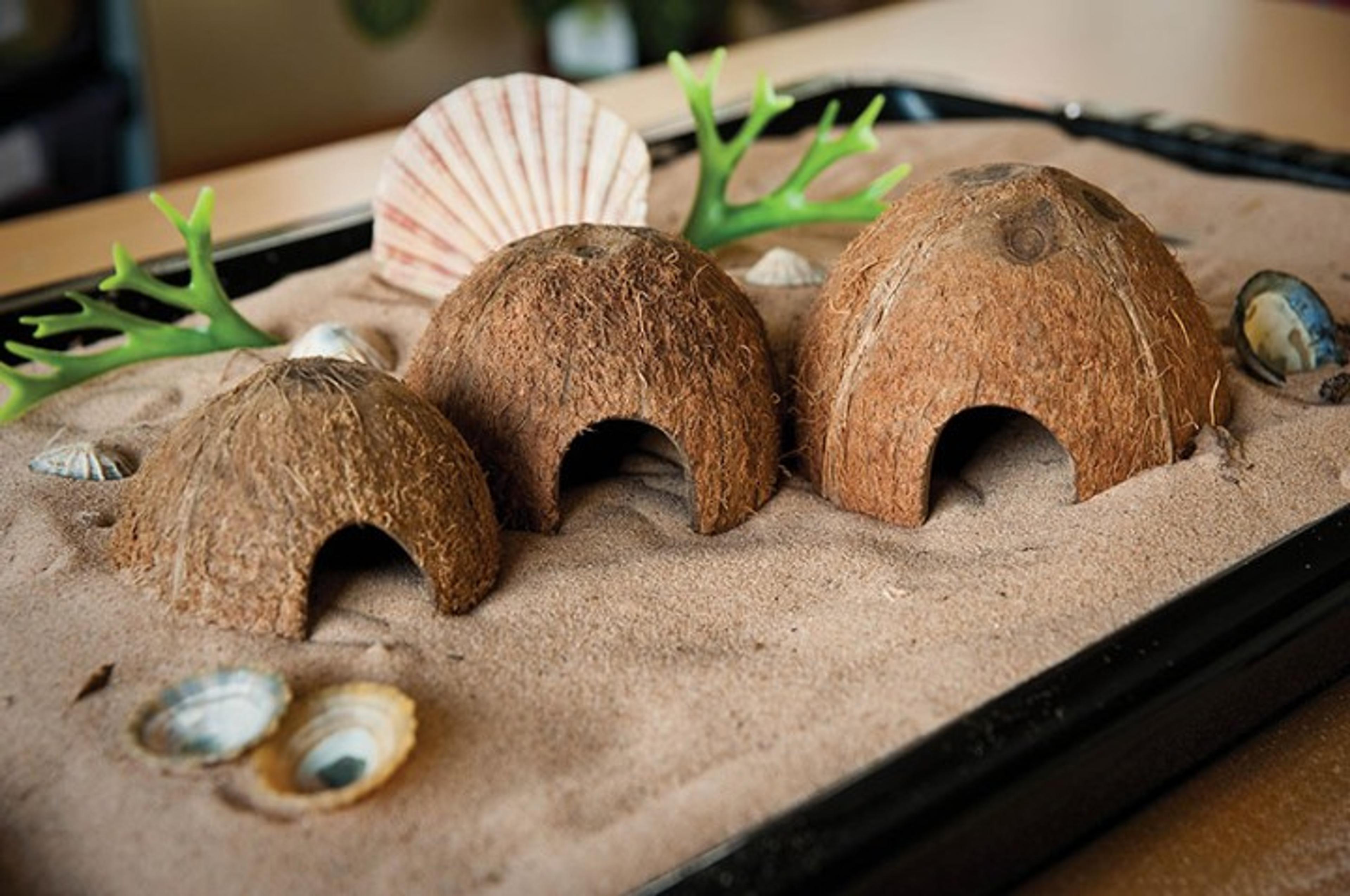 COCONUT SHELL HOUSES (SET OF 3)