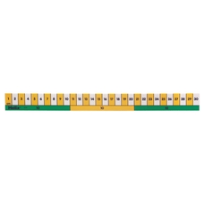 Early Learning Rulers 30cm - Pack of 10