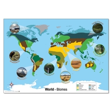 World Maps - Biomes