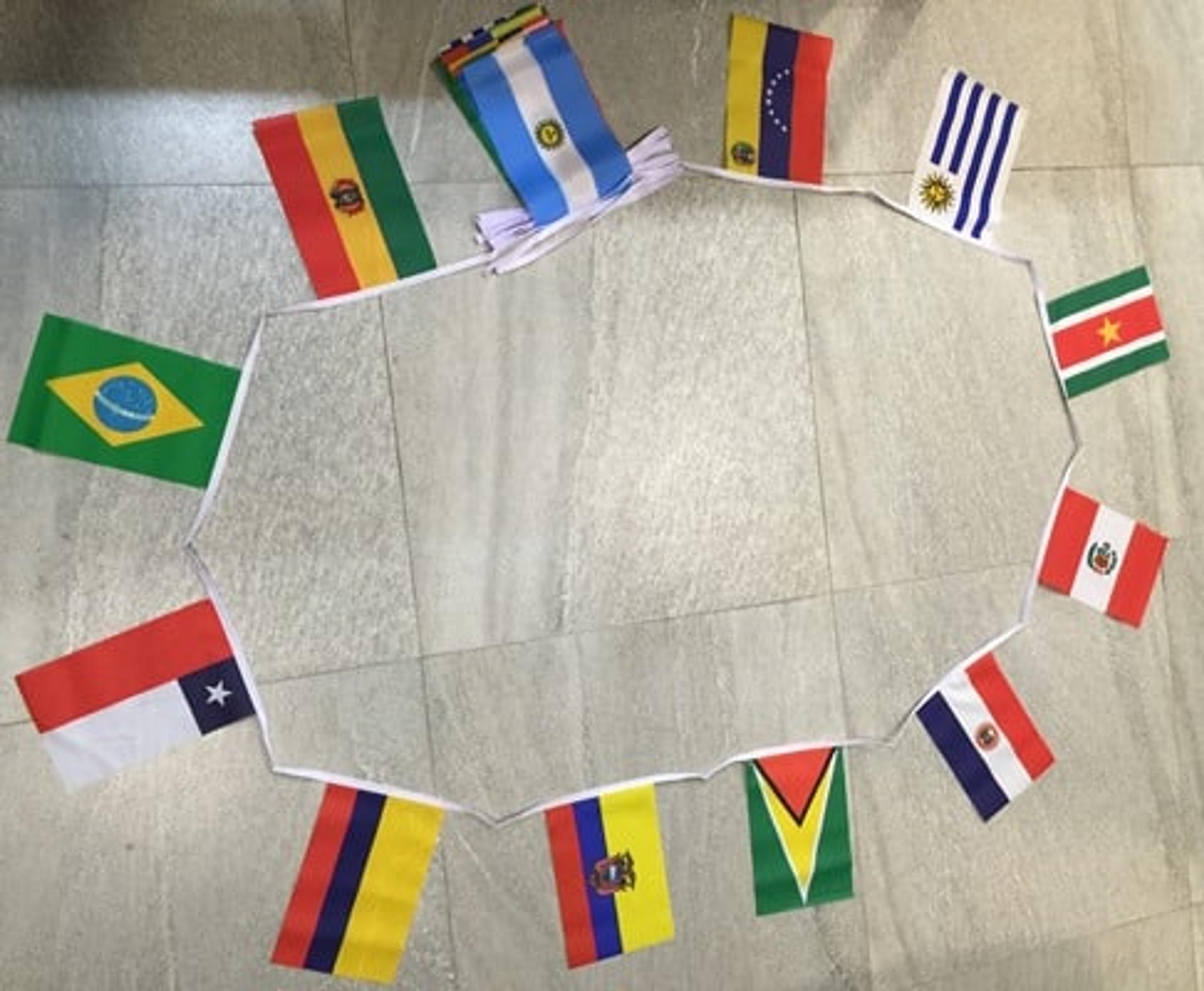 African Nations Bunting