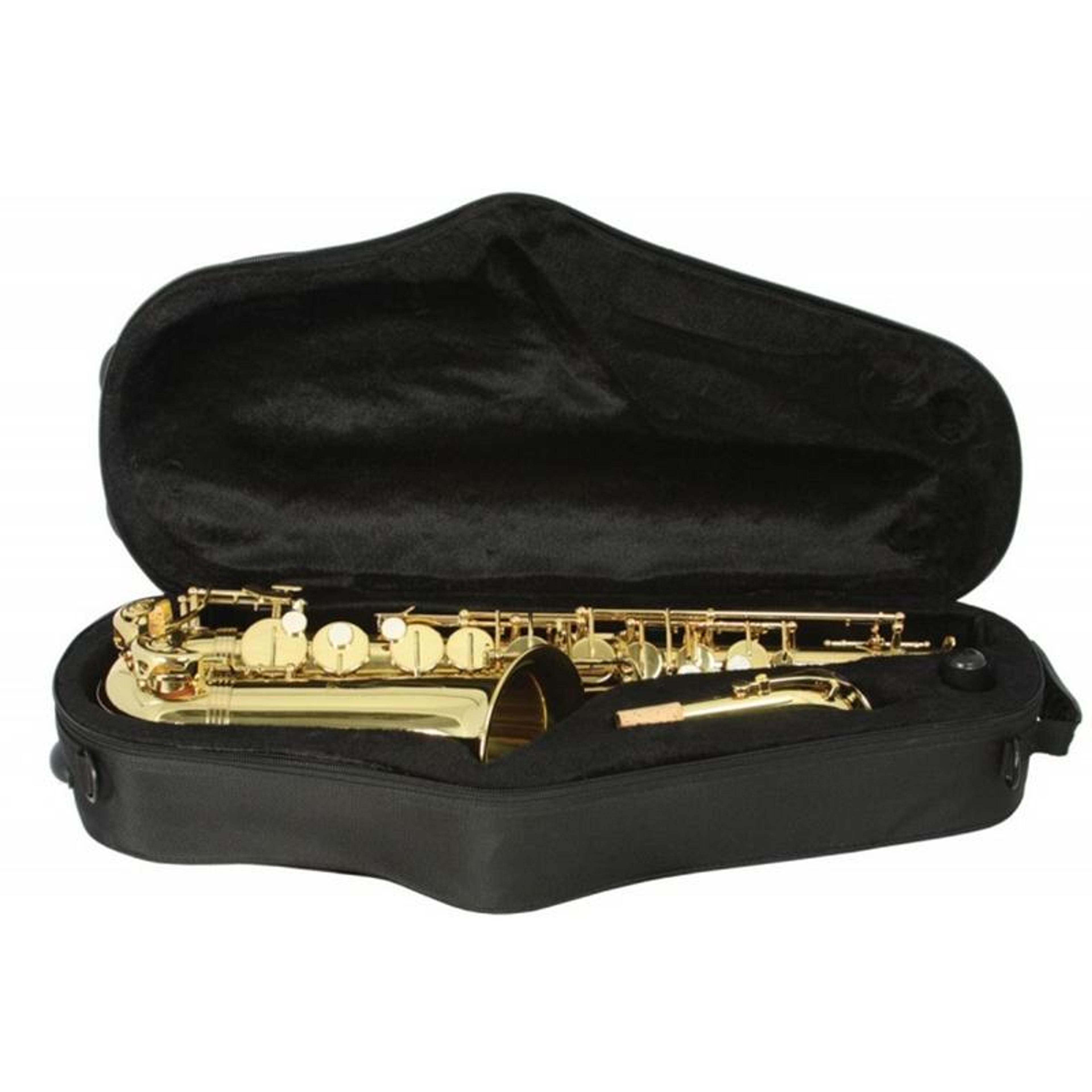 Trevor James Alphasax Alto Saxophone - Lacquer
