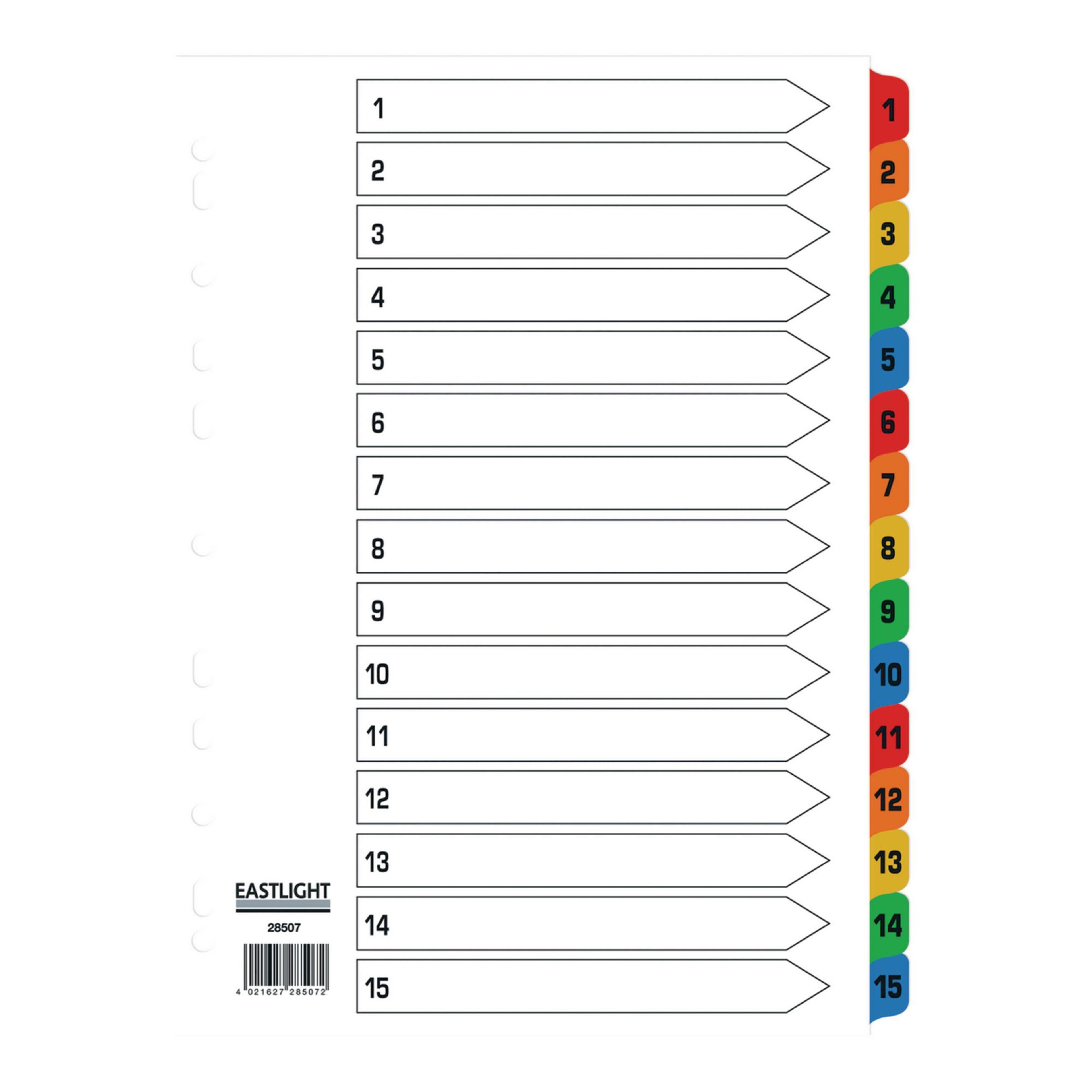 EASTLIGHT15 Part Europunched Mylar Dividers - A4 - Pack of 1