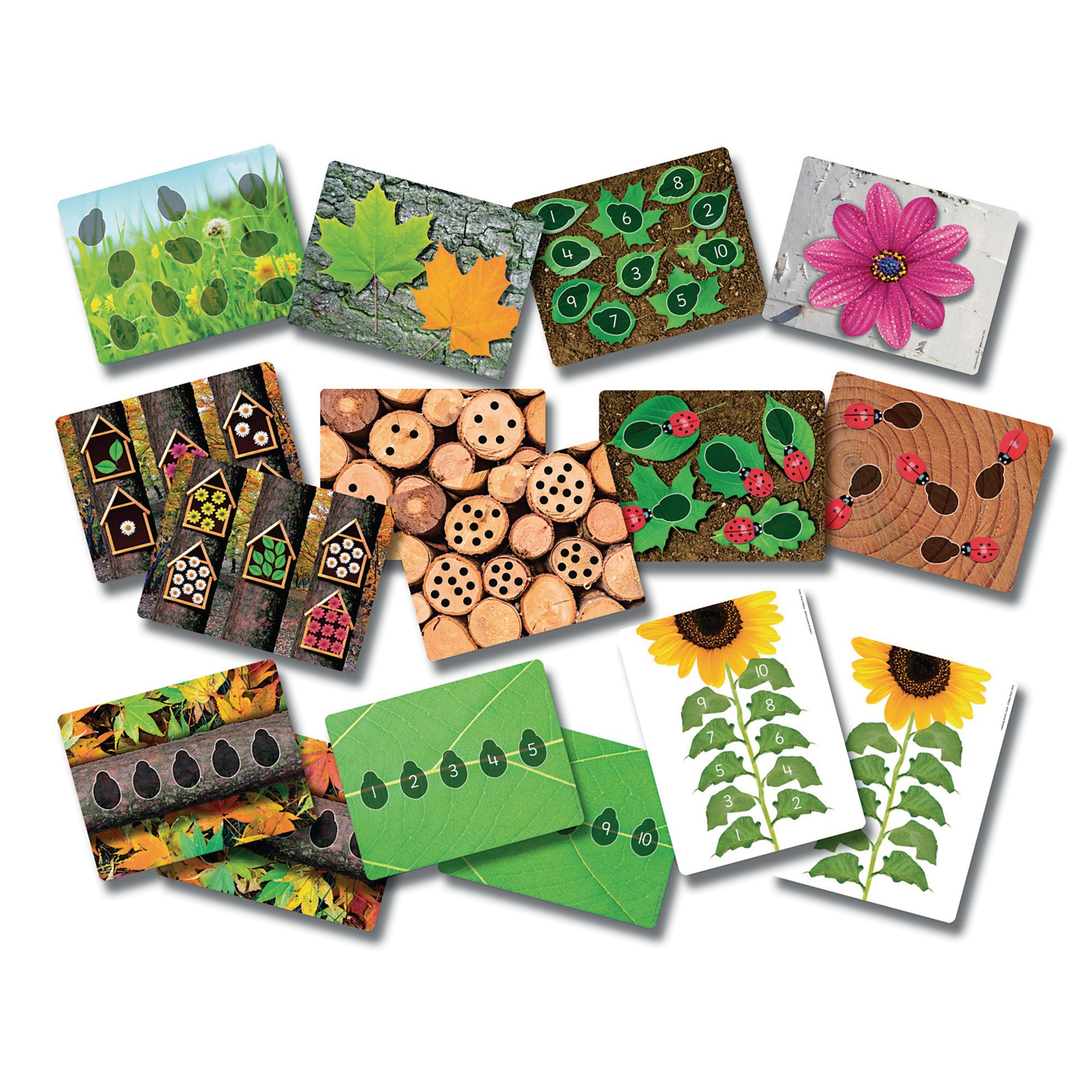 Yellow Door Ladybugs Early Number Cards