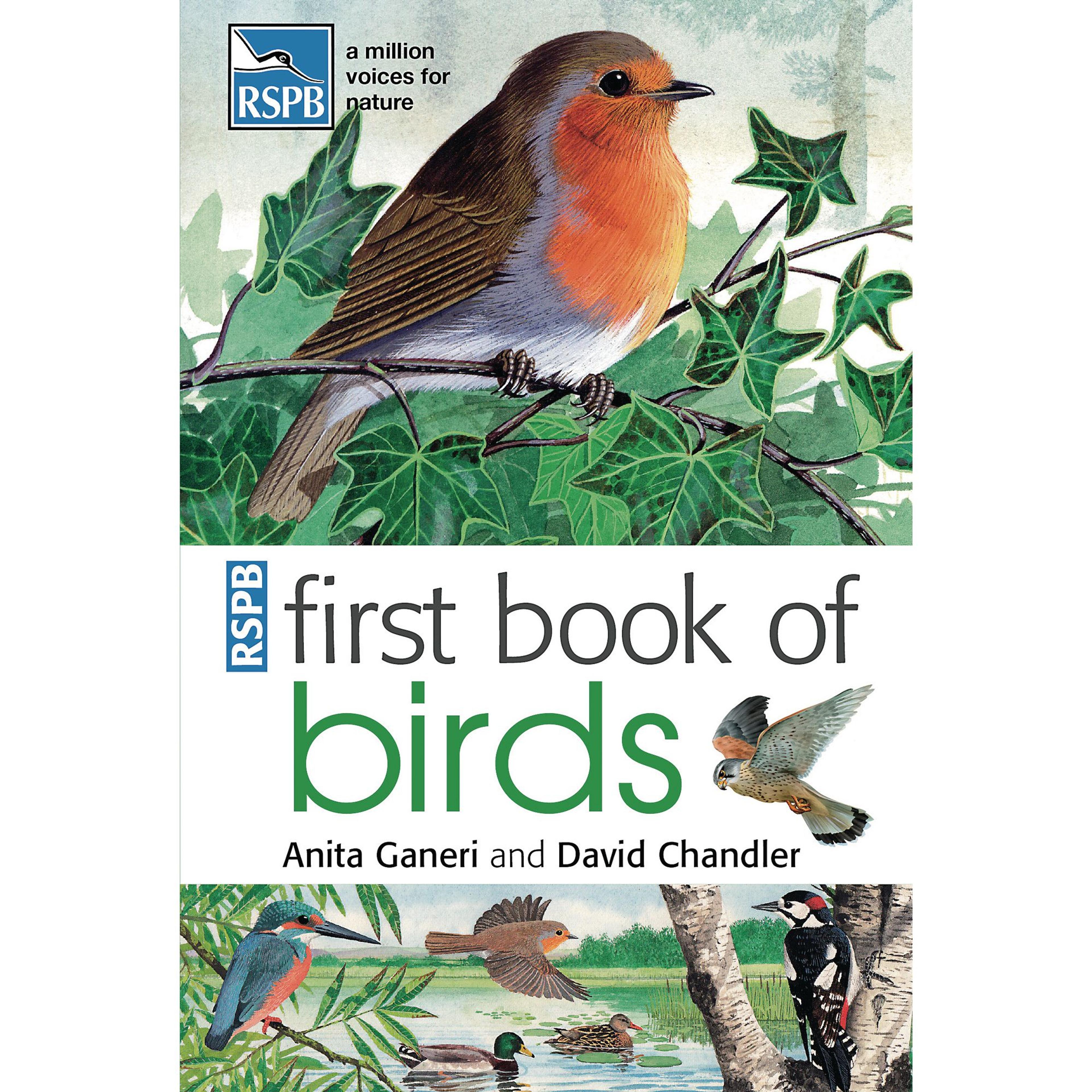 First Book of Birds