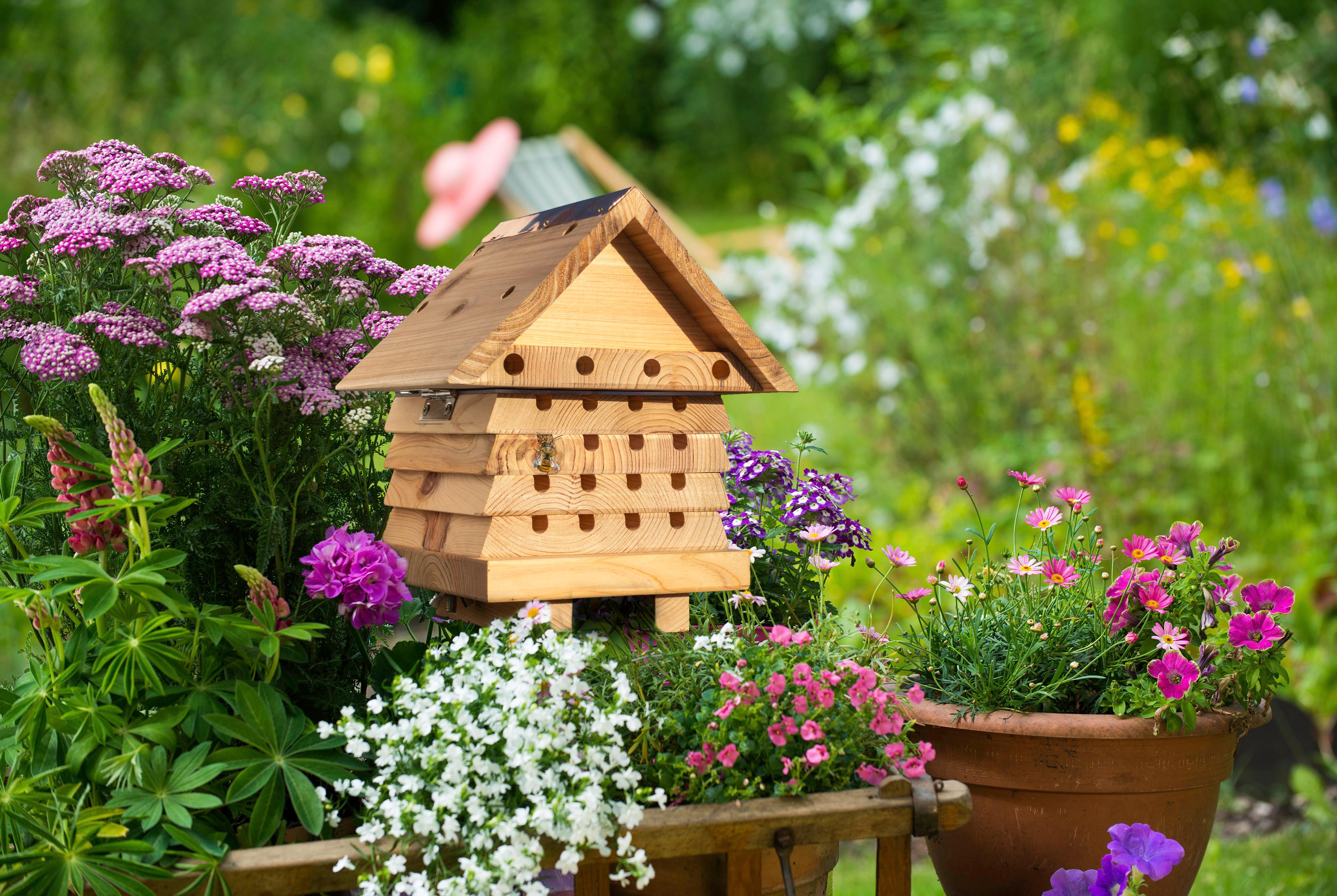 wildlife world Interactive Solitary Bee Hive