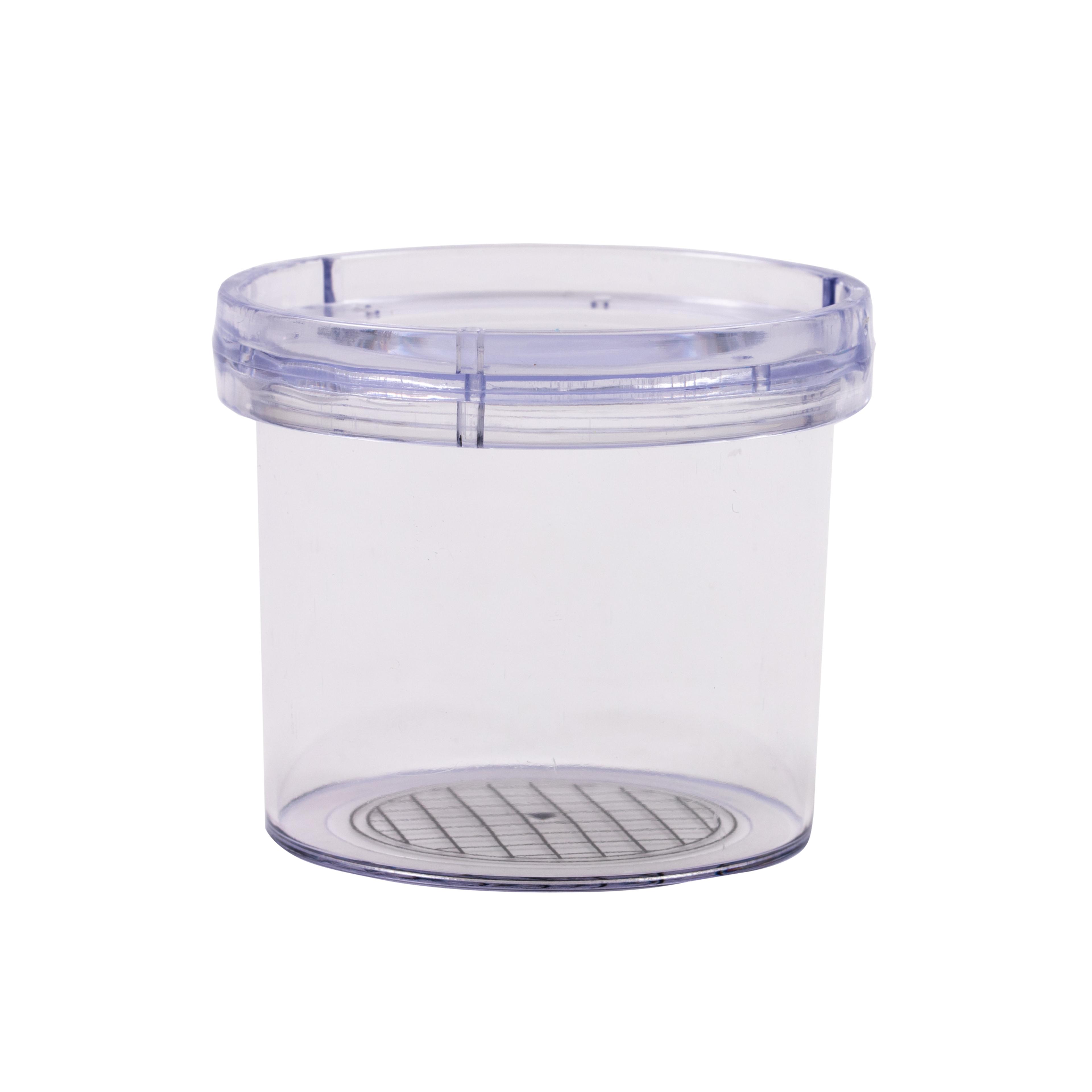 Bug Pots - Pack of 12