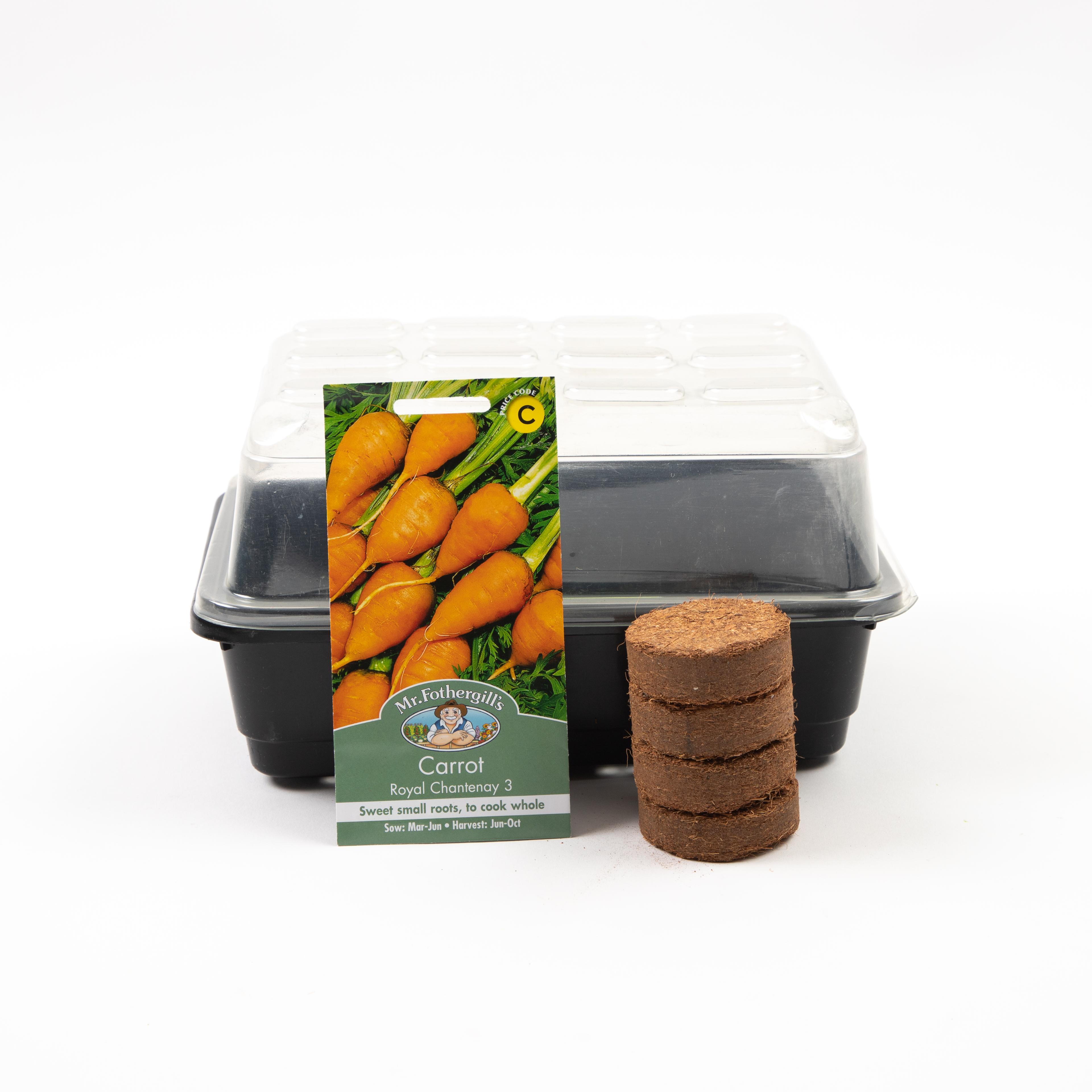 Gro Box Carrots by Hope Education