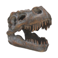 Replica T-Rex Skull