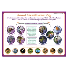 Classifying Animals Poster