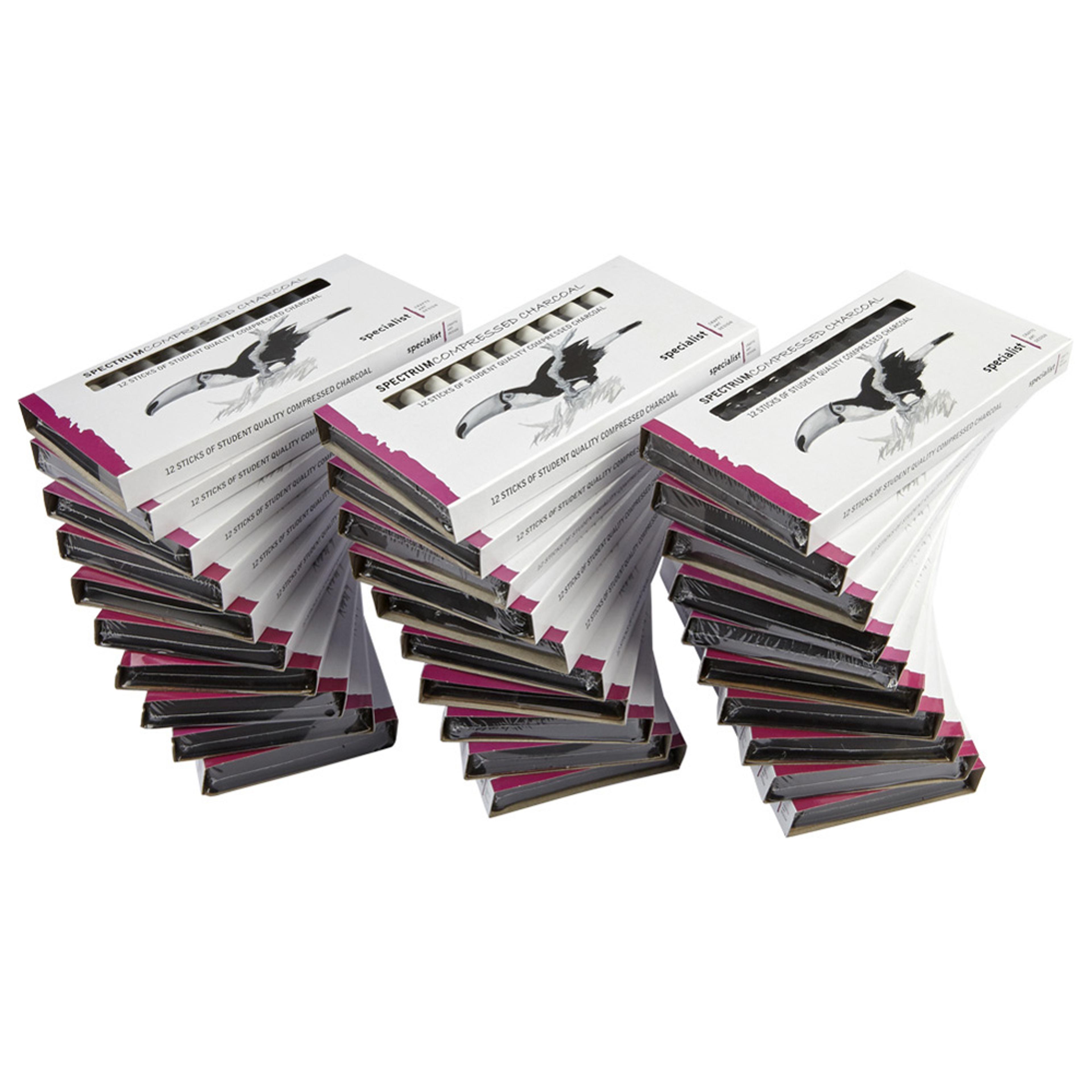 Specialist Crafts Compressed Charcoal Class Pack