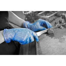 Blue Vinyl Disposable Glove Powder Free - Small - Pack of 100
