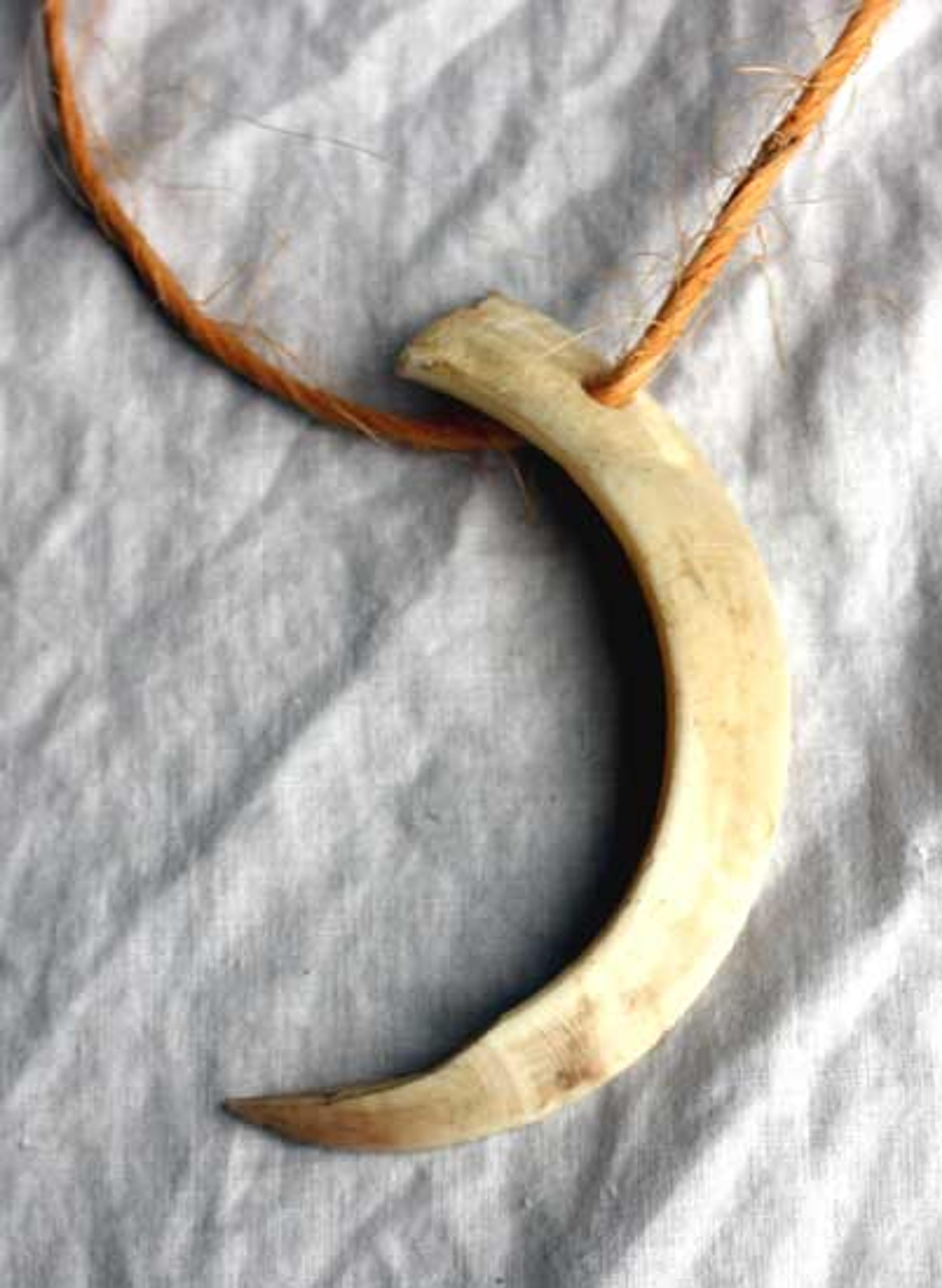 Mammoth Tooth Pendant