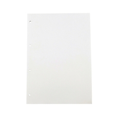 Exercise Paper A4 Plain 4 Hole Punched - Pack of 500
