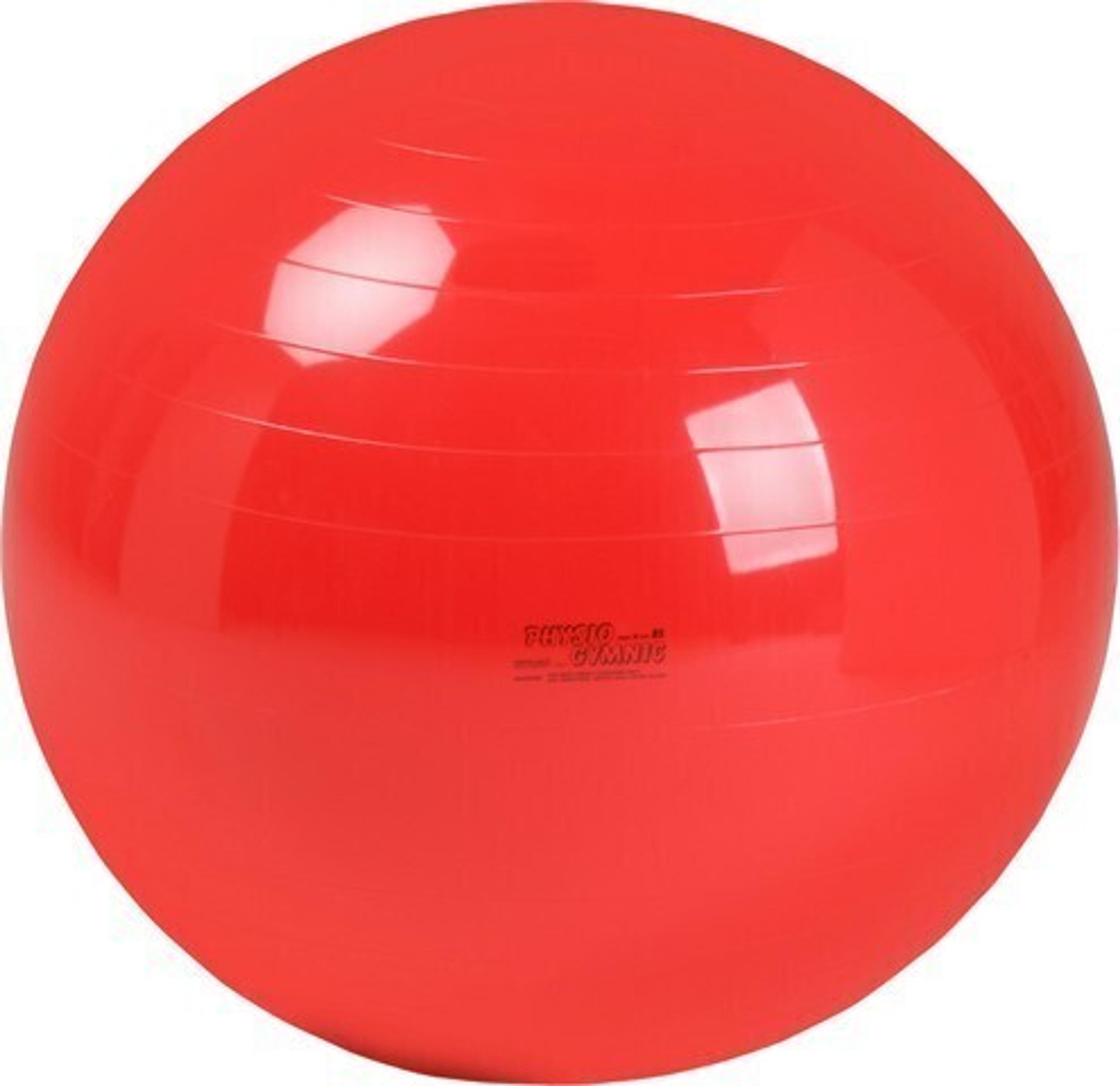 Physio Gymnic 85cm - Red