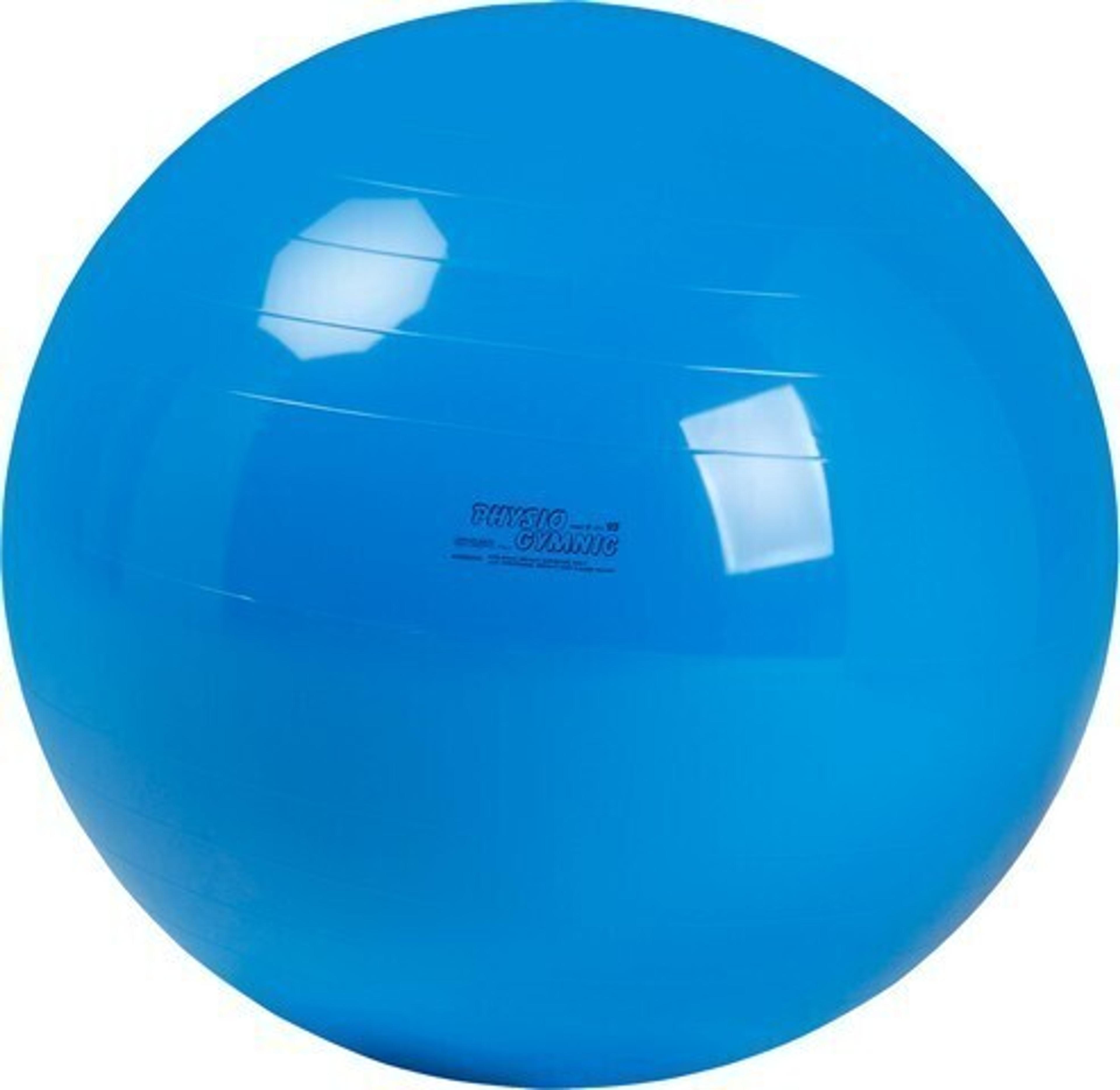 Physio Gymnic 95cm - Blue