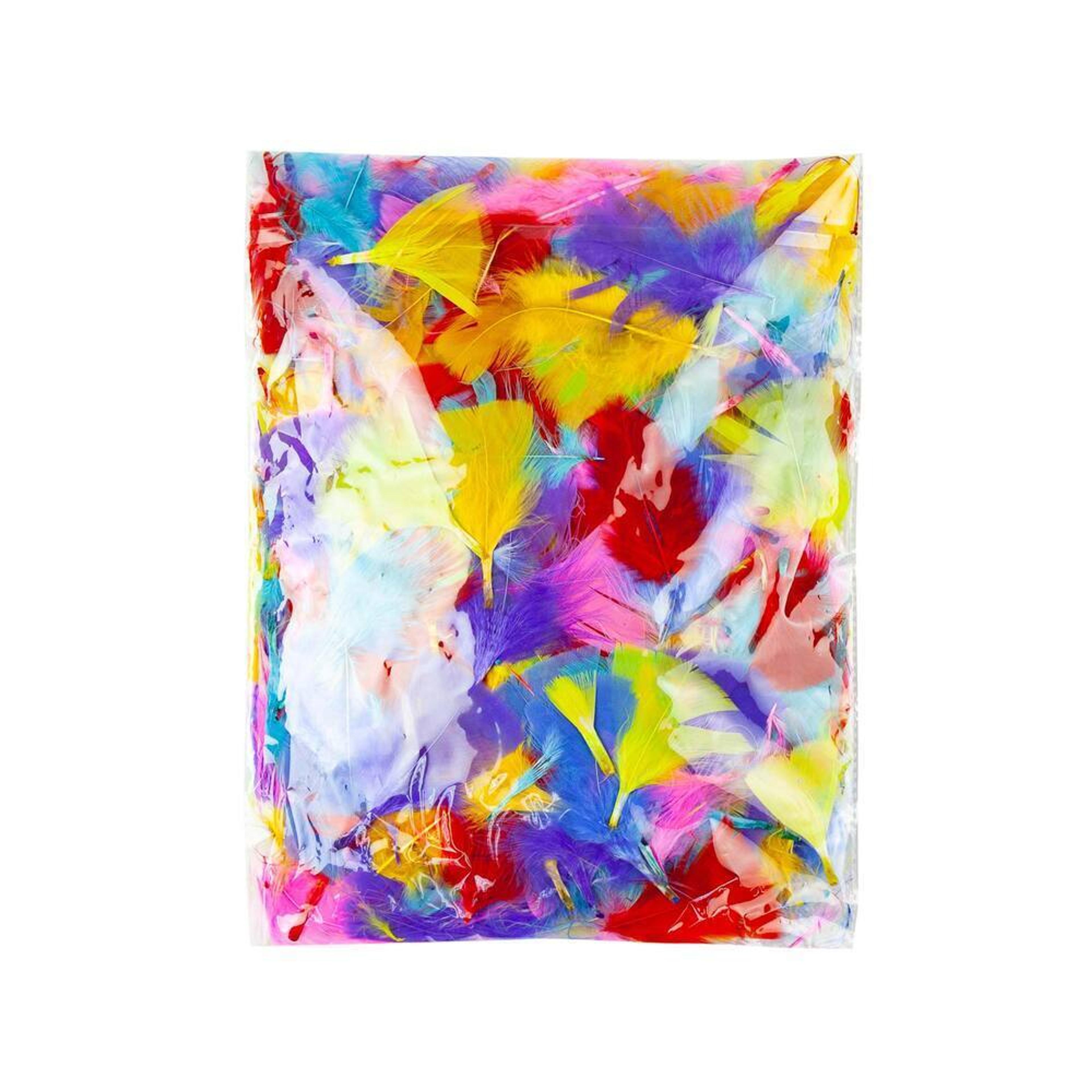 Feathers Assorted - 50g