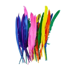 Indian Quill Feathers 30cm Assorted Colours - Pack of 25