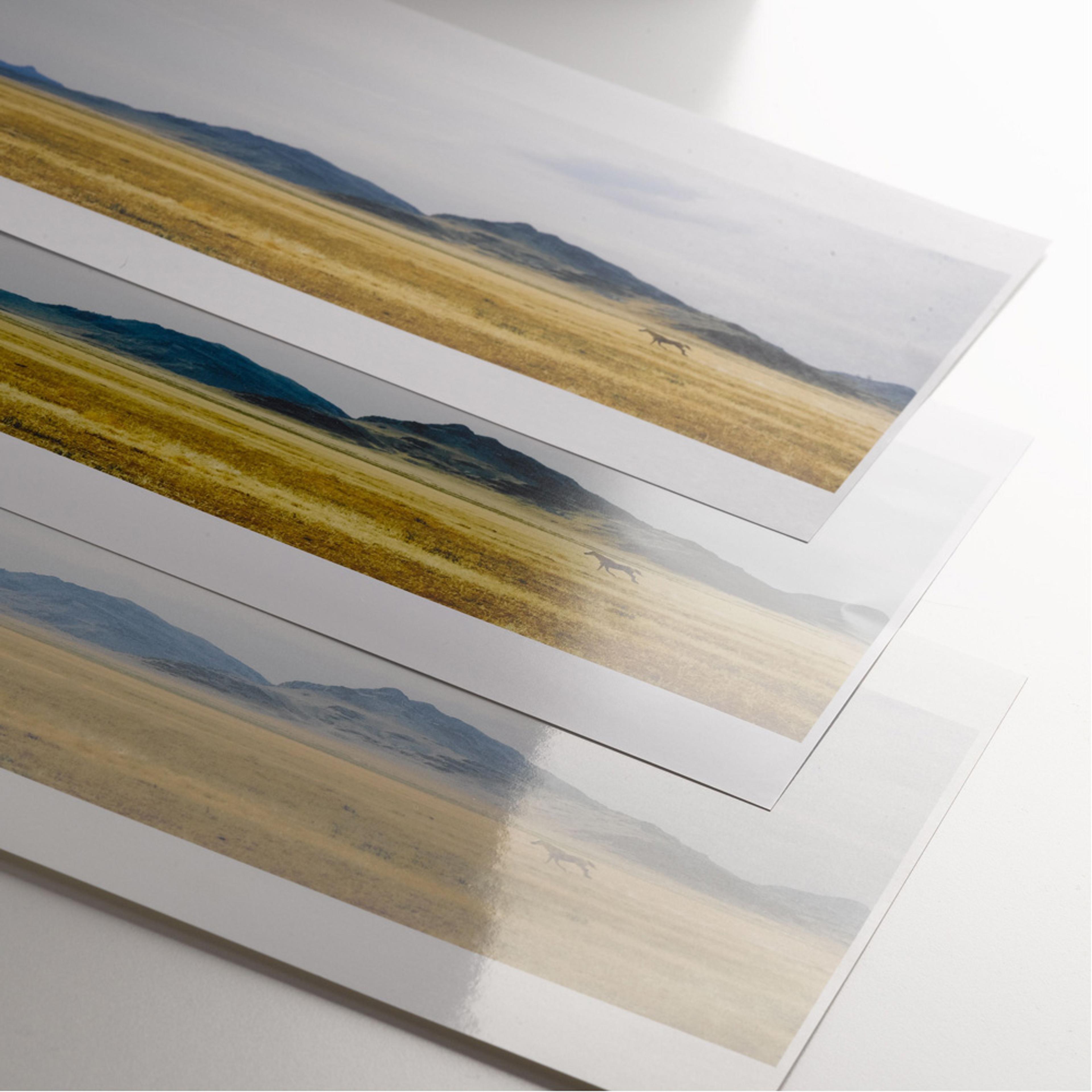 Glossy Inkjet Paper. Pack of 50