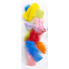 Feathers - Exotic (Bright) 10g Bag