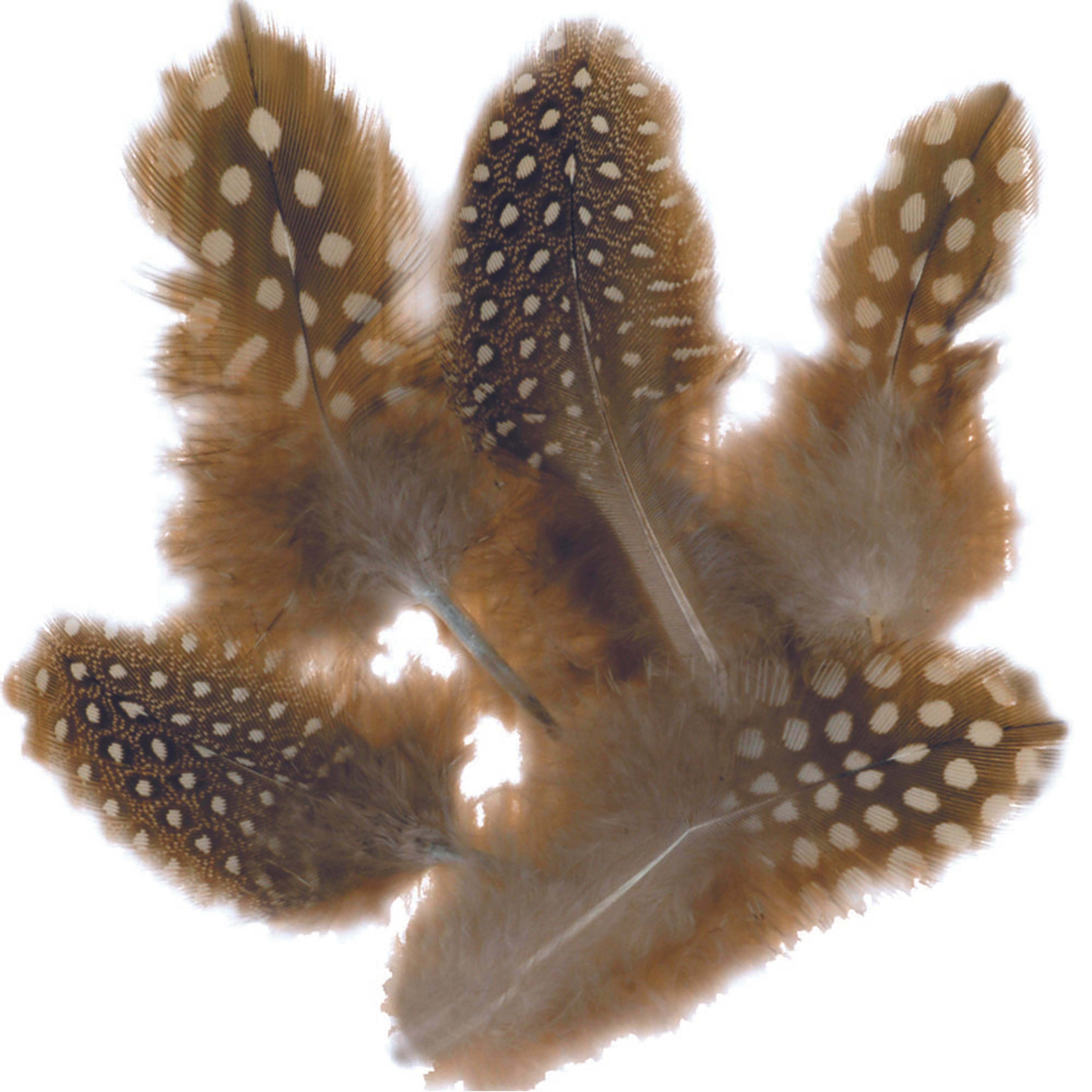 Feathers 10g  - Natural Spotted