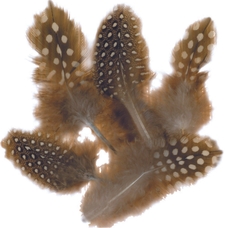 Feathers 10g  - Natural Spotted