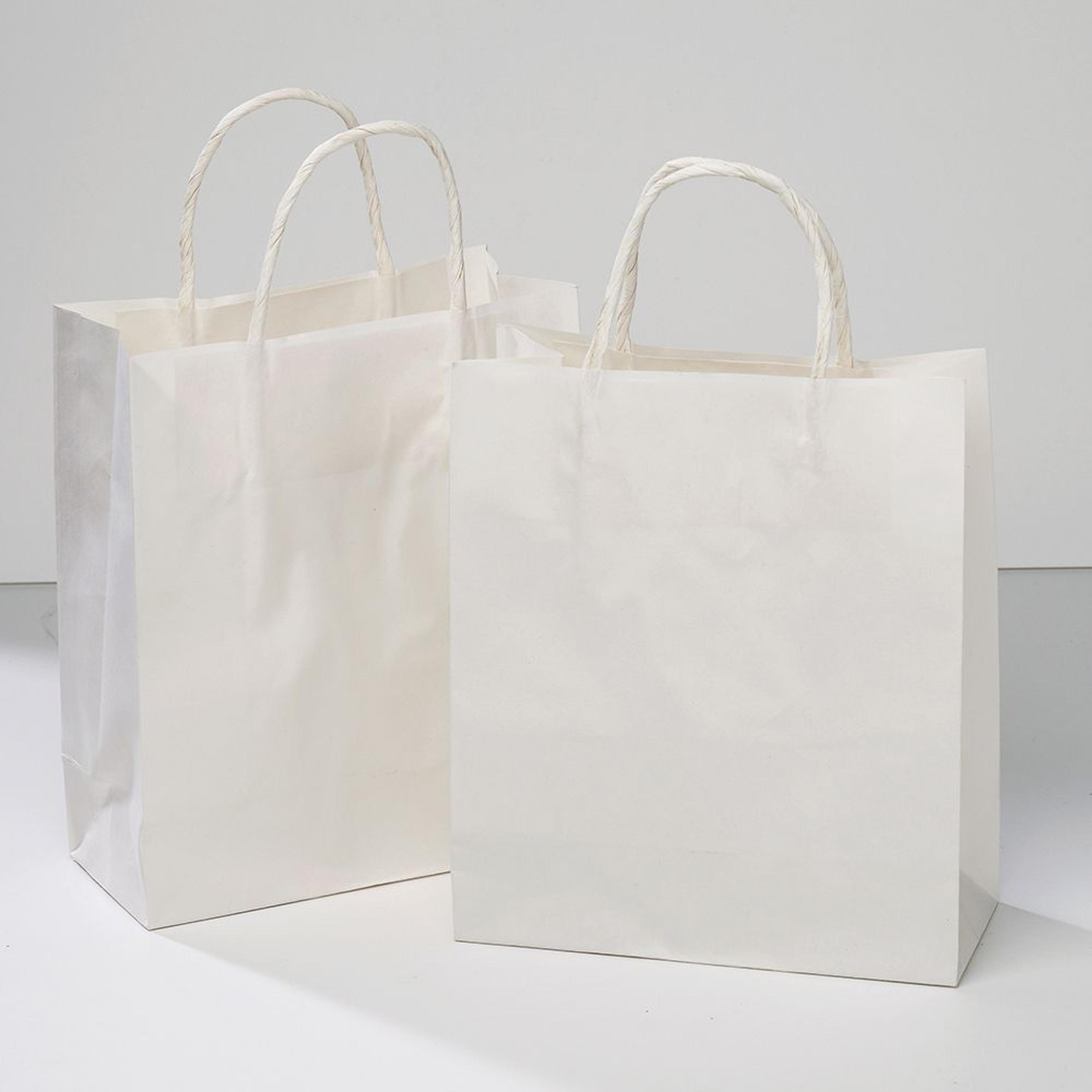 Loop Handle Paper Bags Pack