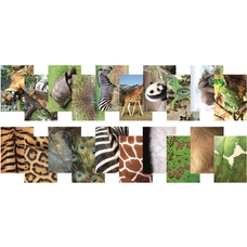 Nature Picture Packs - Animals