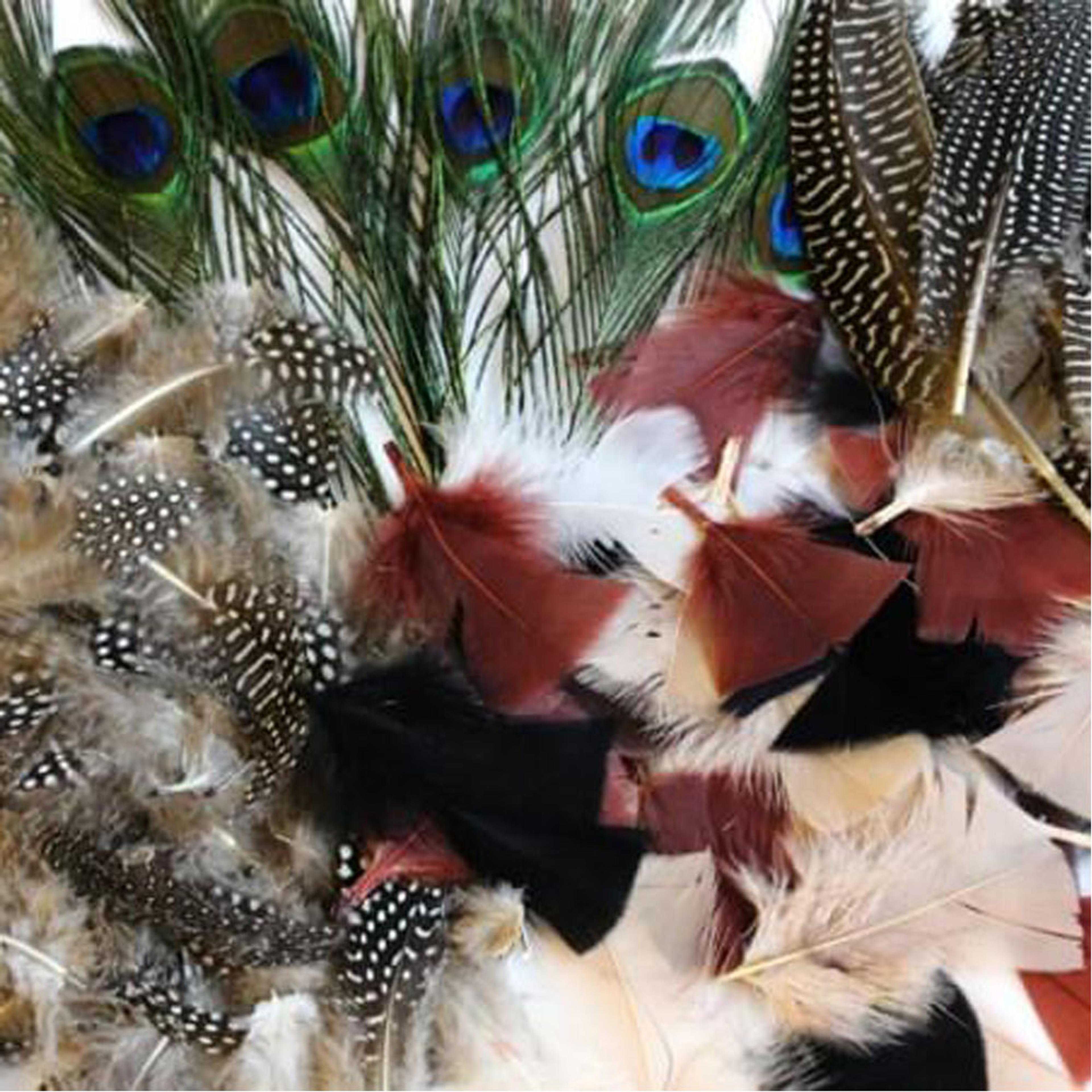 Natural Feathers Assorted Bumper Pack