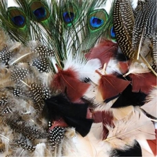 Natural Feathers Assorted Bumper Pack