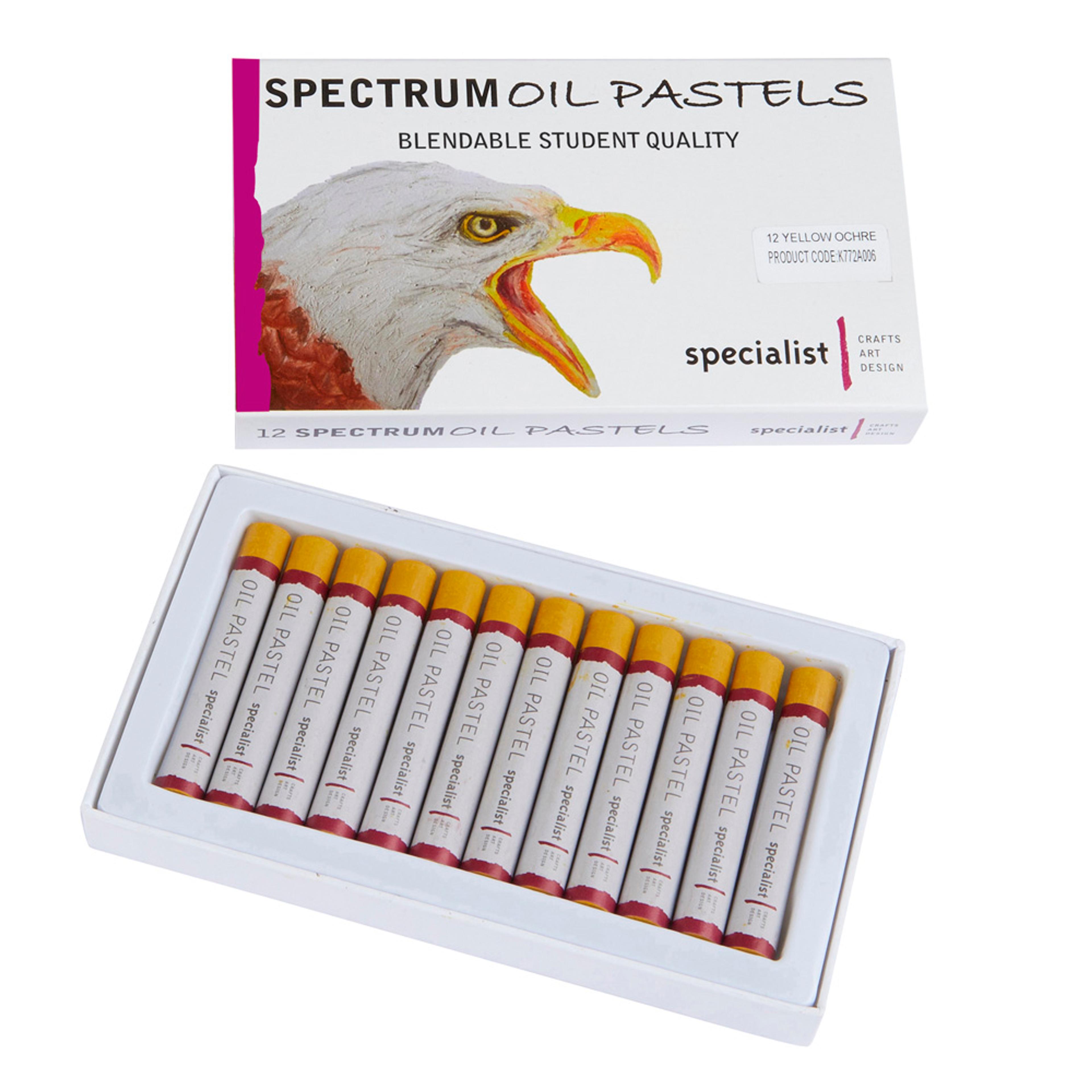 Specialist Crafts Oil Pastels - Yellow Ochre. Pack of 12