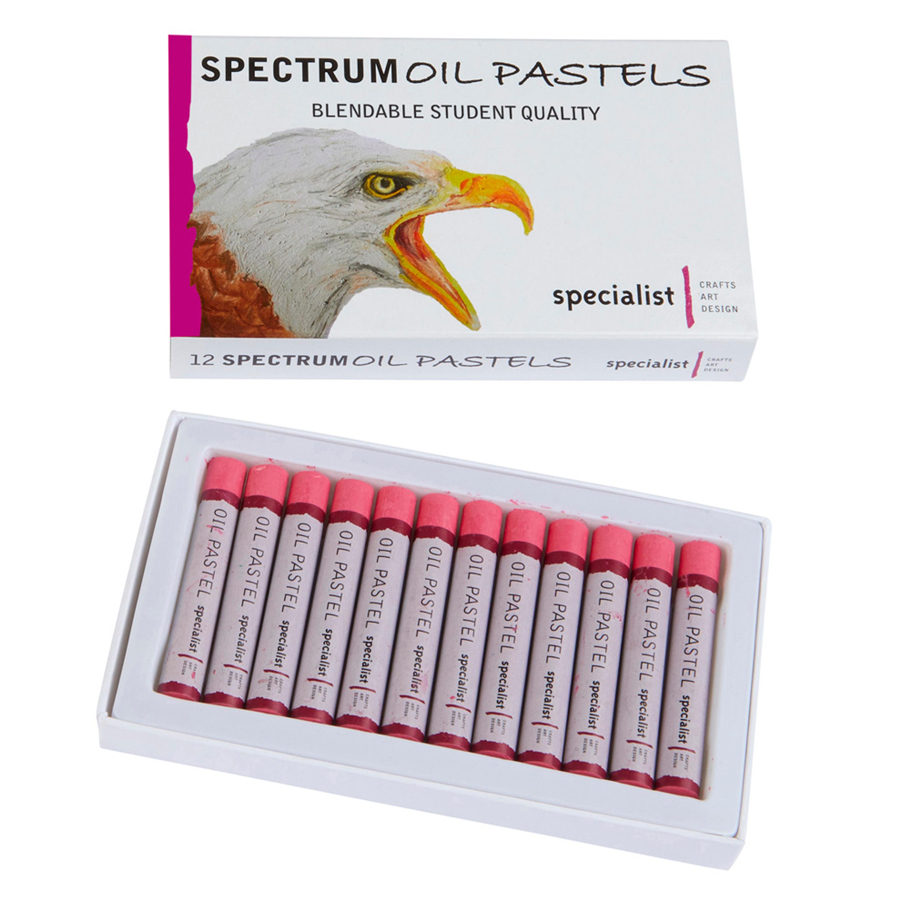 Specialist Crafts Oil Pastels - Rose Pink. Pack of 12