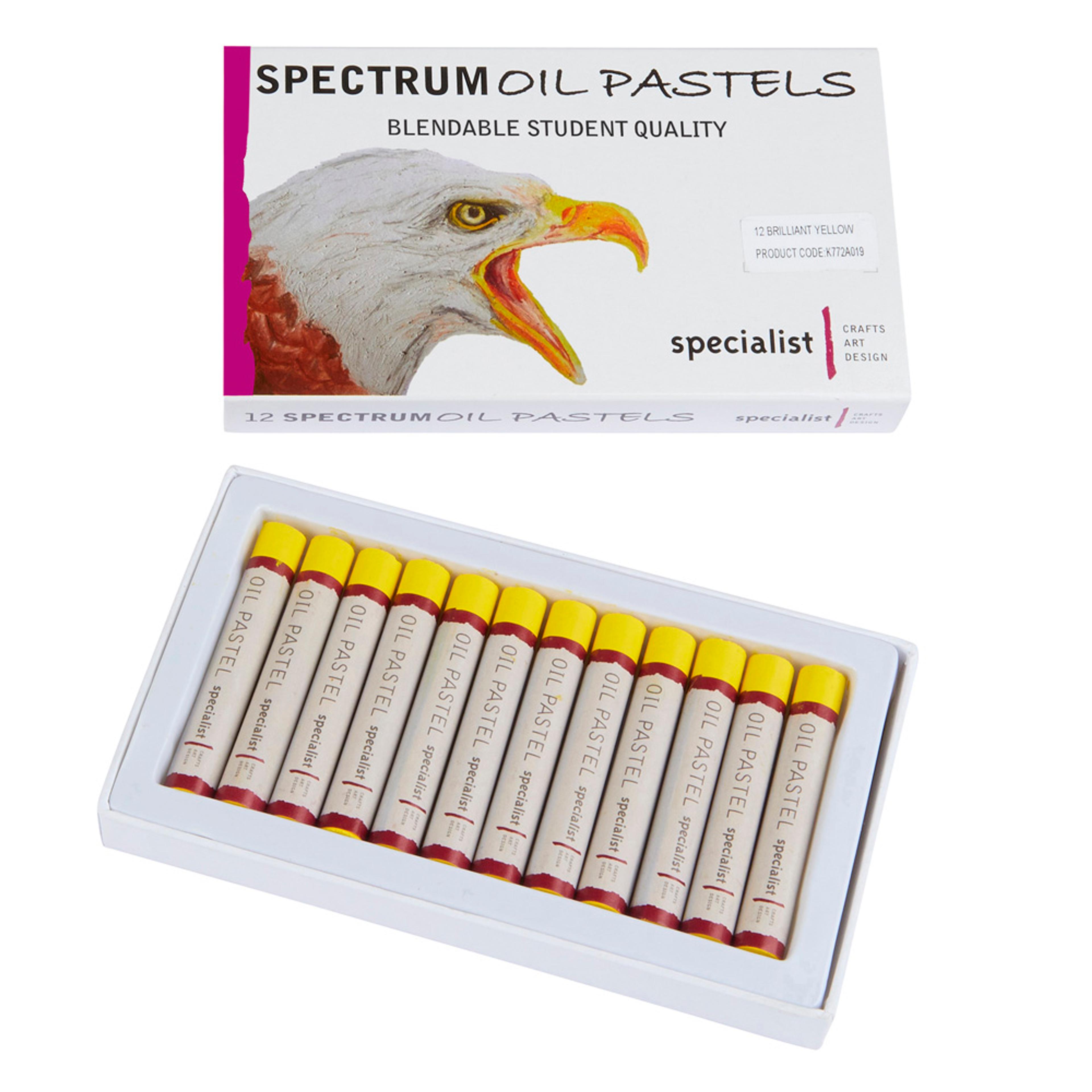 Specialist Crafts Oil Pastels - Brilliant Yellow. Pack of 12