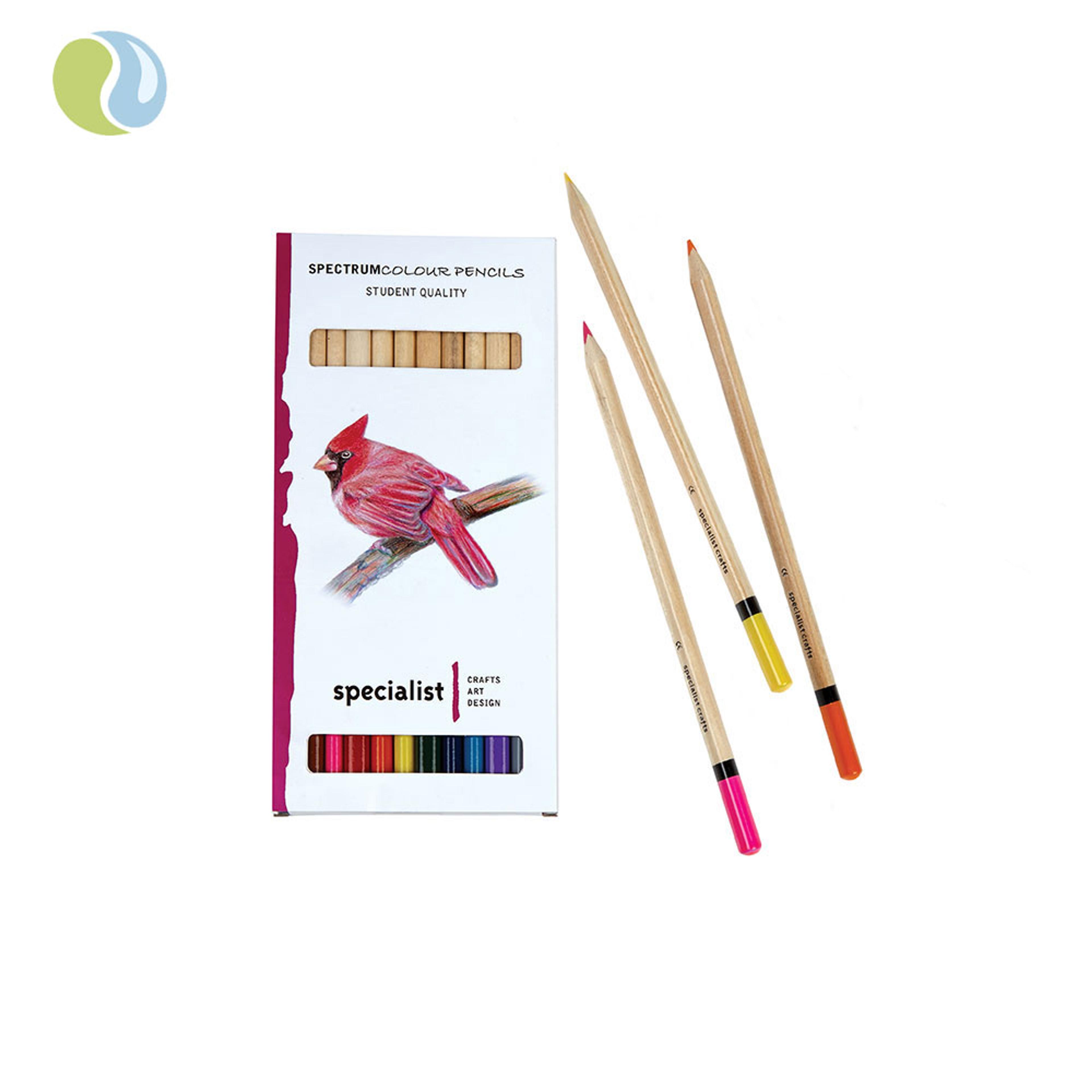 Specialist Crafts Colour Pencils Assorted Colours. Set of 12