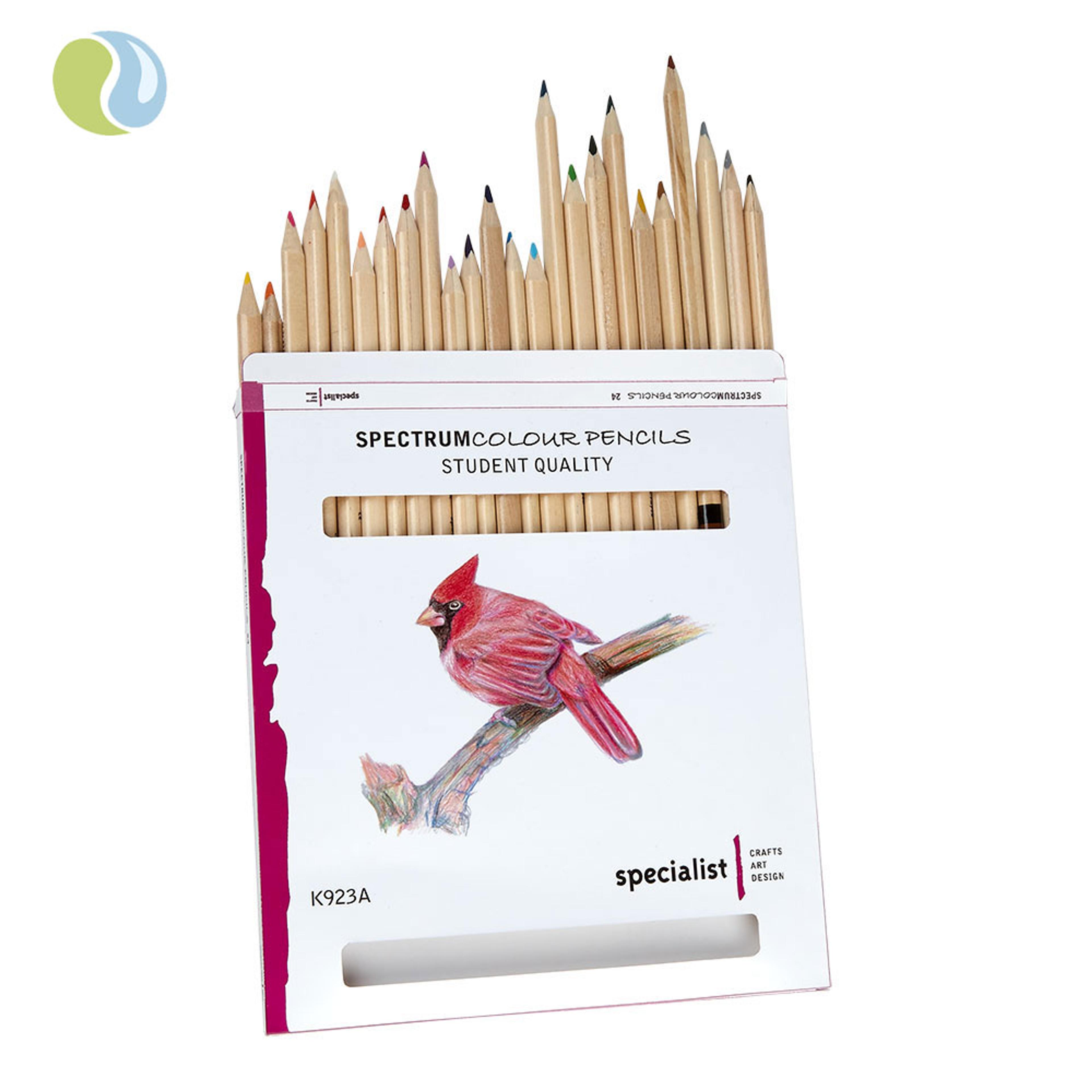 Specialist Crafts Colour Pencils Assorted Colours. Set of 24