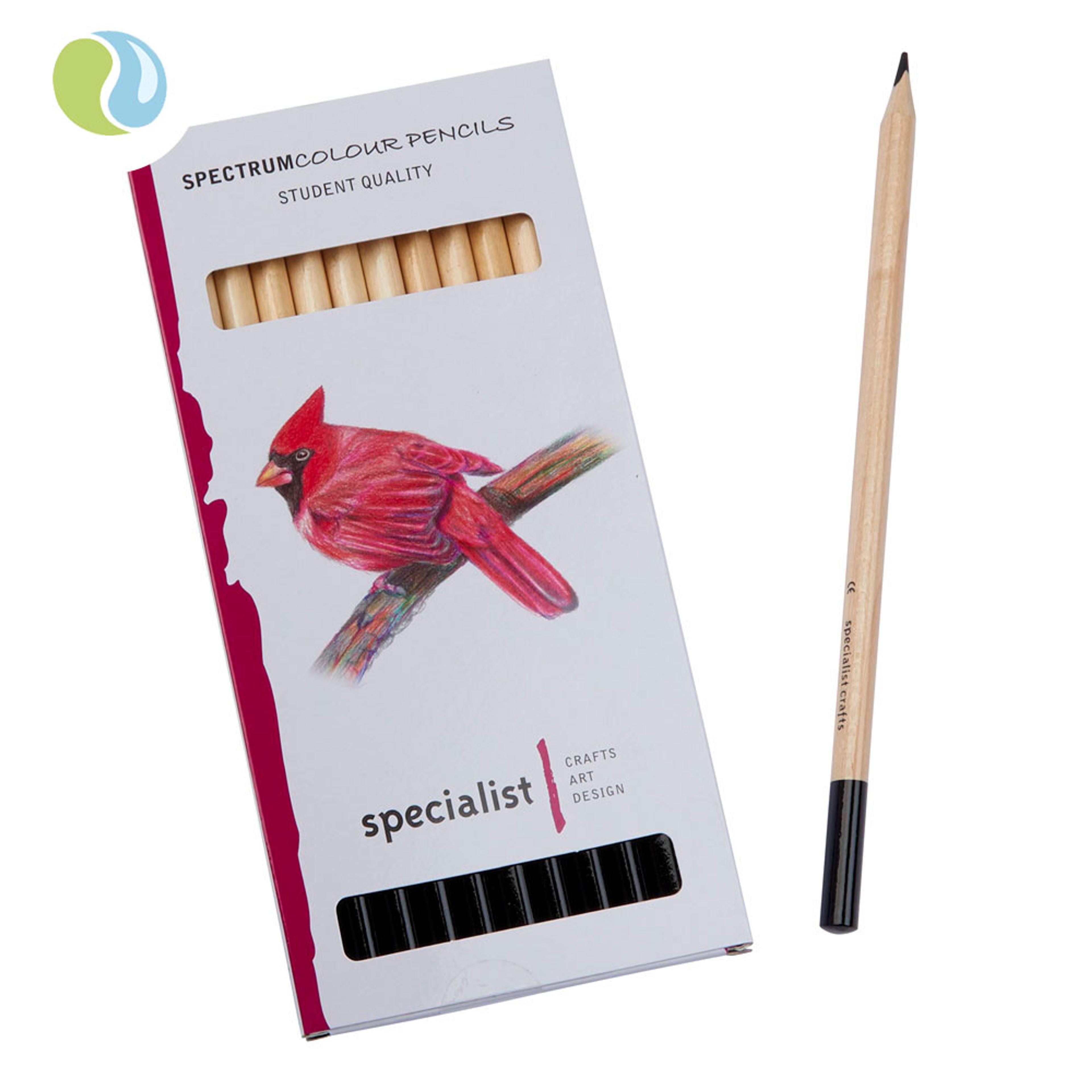 Specialist Crafts Colour Pencils - Black. Pack of 12