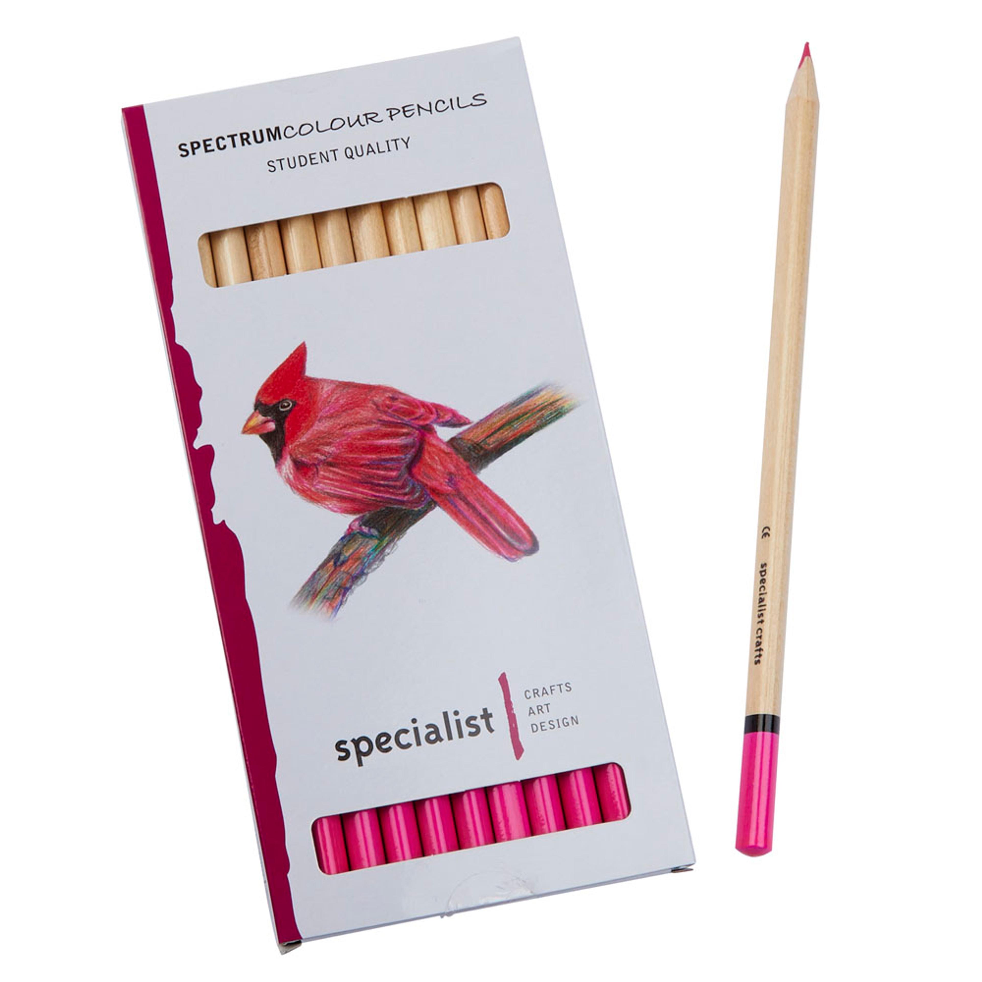 Specialist Crafts Colour Pencils - Pink. Pack of 12