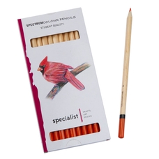 Spectrum Colour Pencils - Orange. Pack of 12