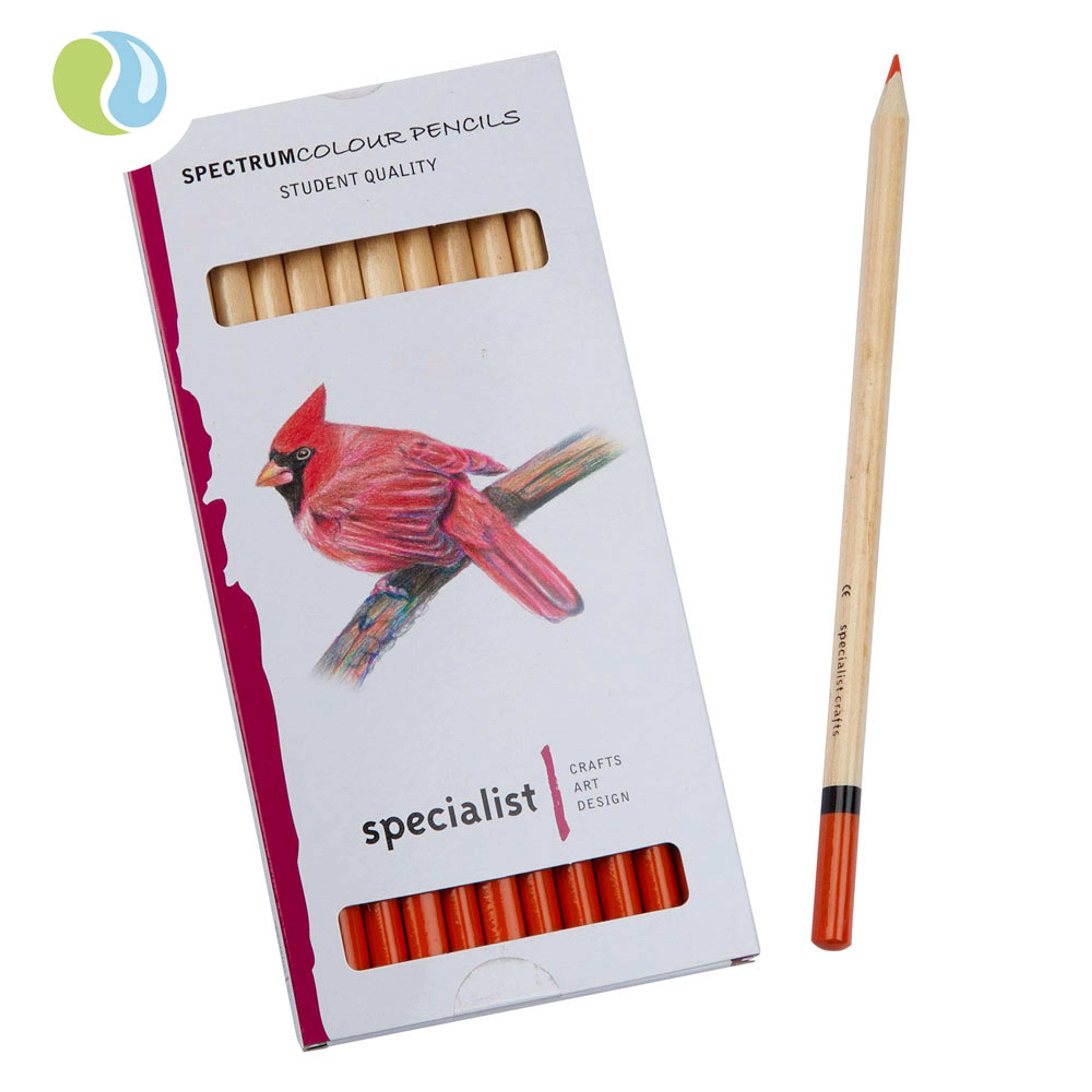 Specialist Crafts Colour Pencils - Orange. Pack of 12