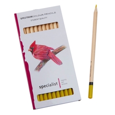 Spectrum Colour Pencils - Yellow. Pack of 12