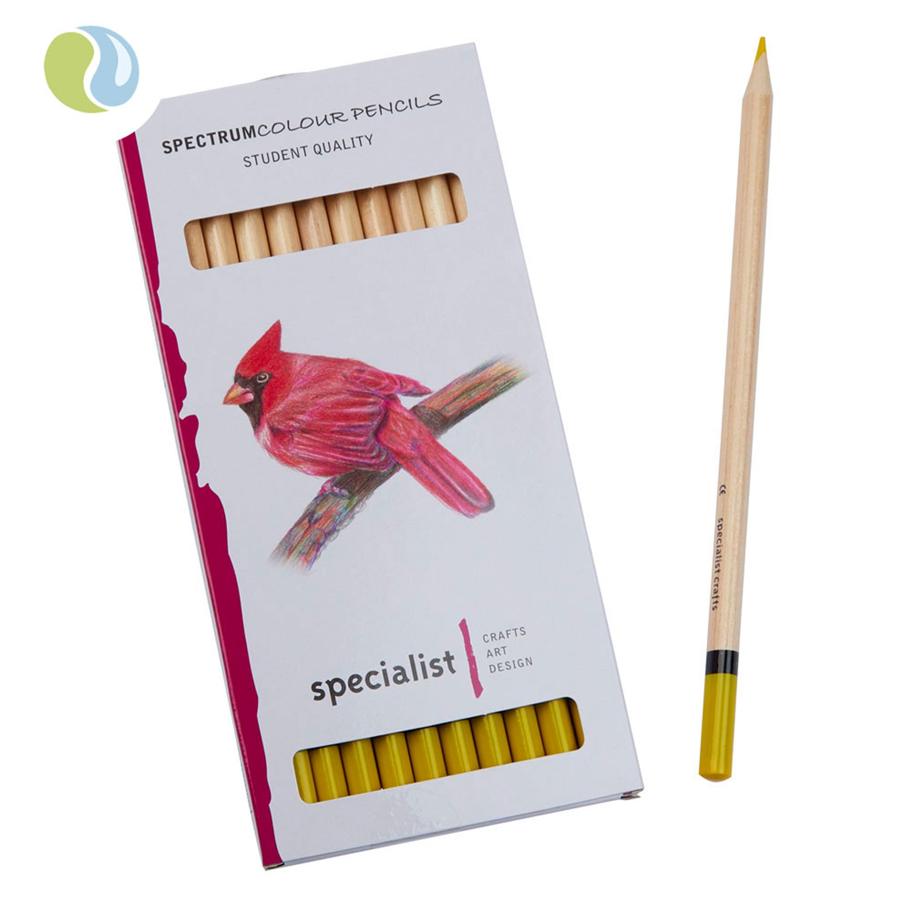 Specialist Crafts Colour Pencils - Yellow. Pack of 12