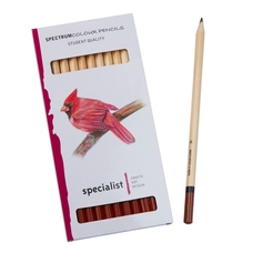 Spectrum Colour Pencils - Brown. Pack of 12