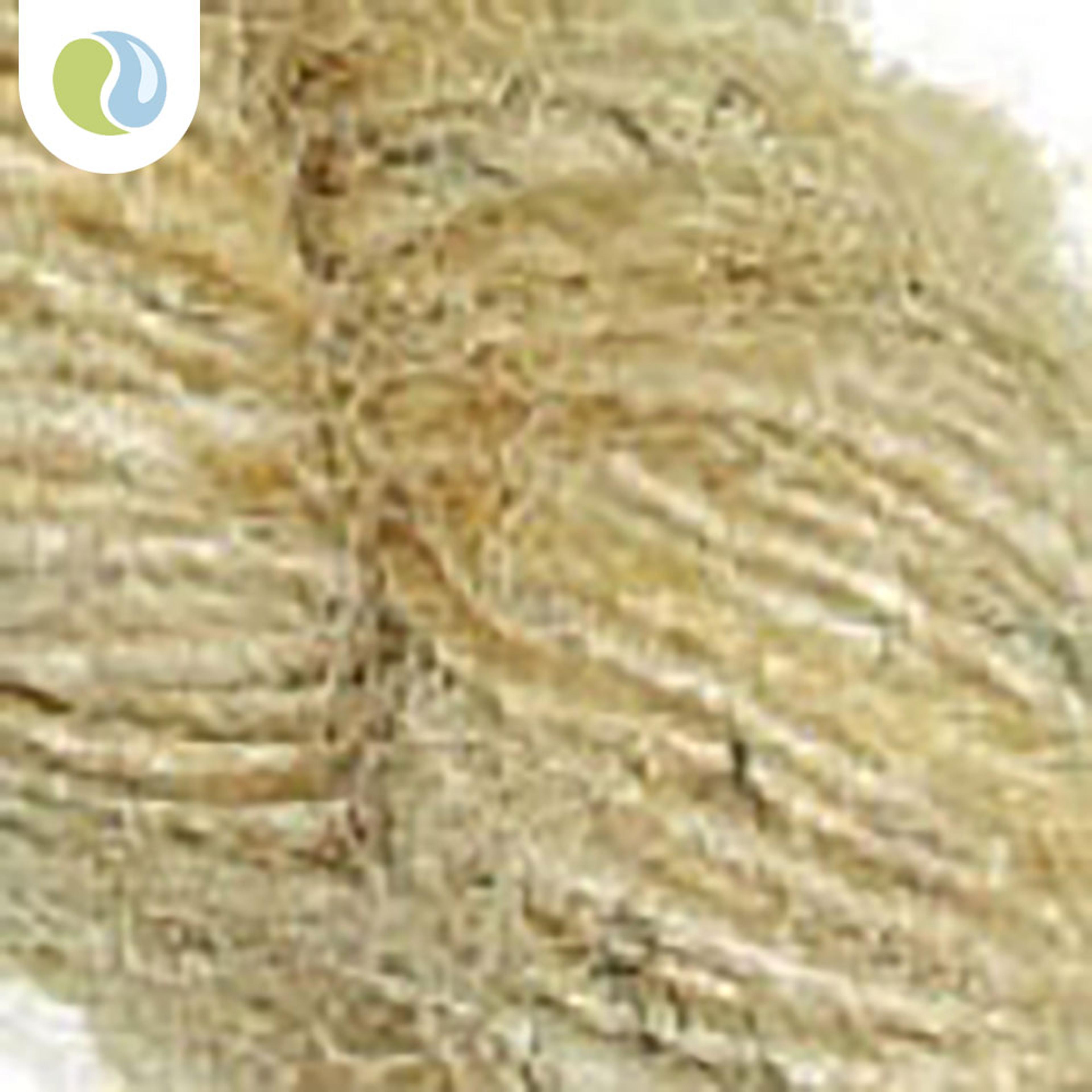 Sari Yarn 100g Hank - Sand