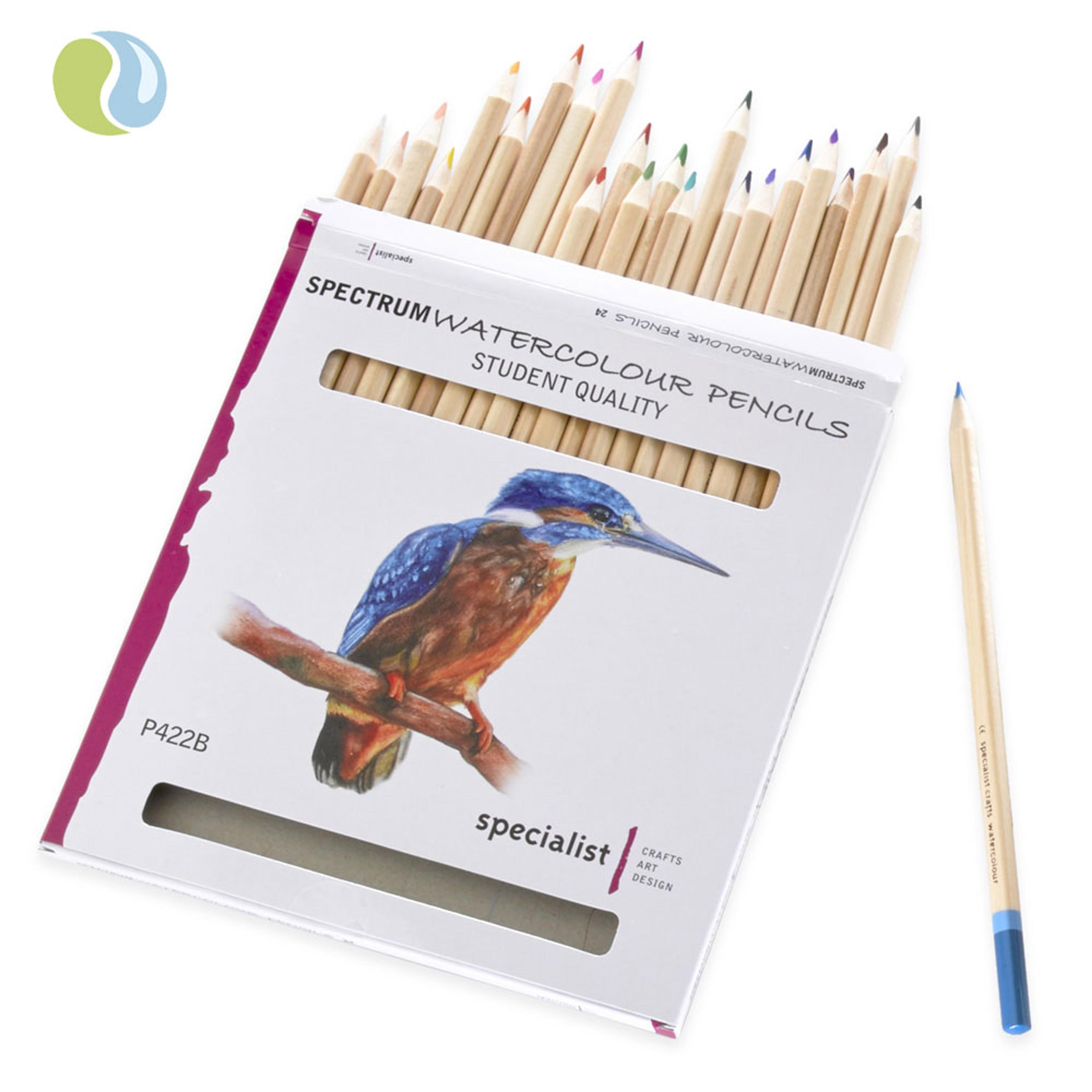 Specialist Crafts Watercolour Pencils. Set of 24