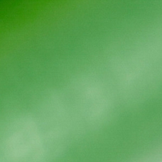 Milskin Frieze Cover 1020mm x 25m Roll - Leaf Green